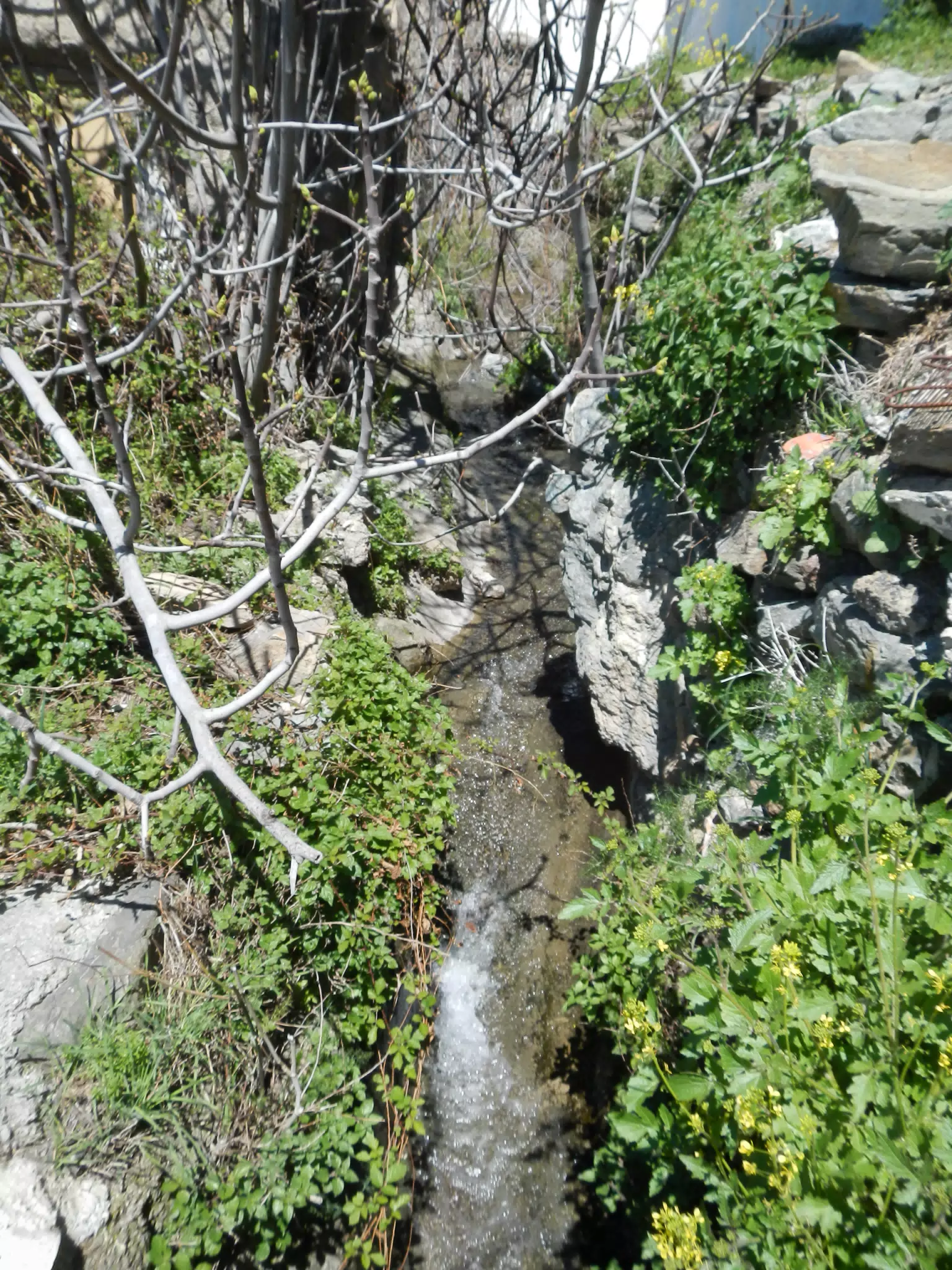 Irrigation