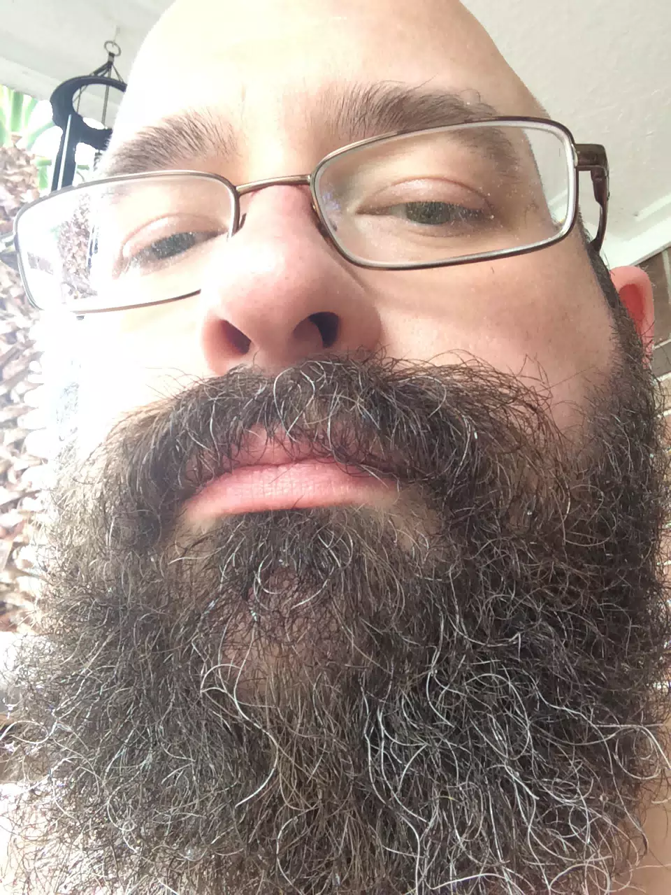 Daily Selfie