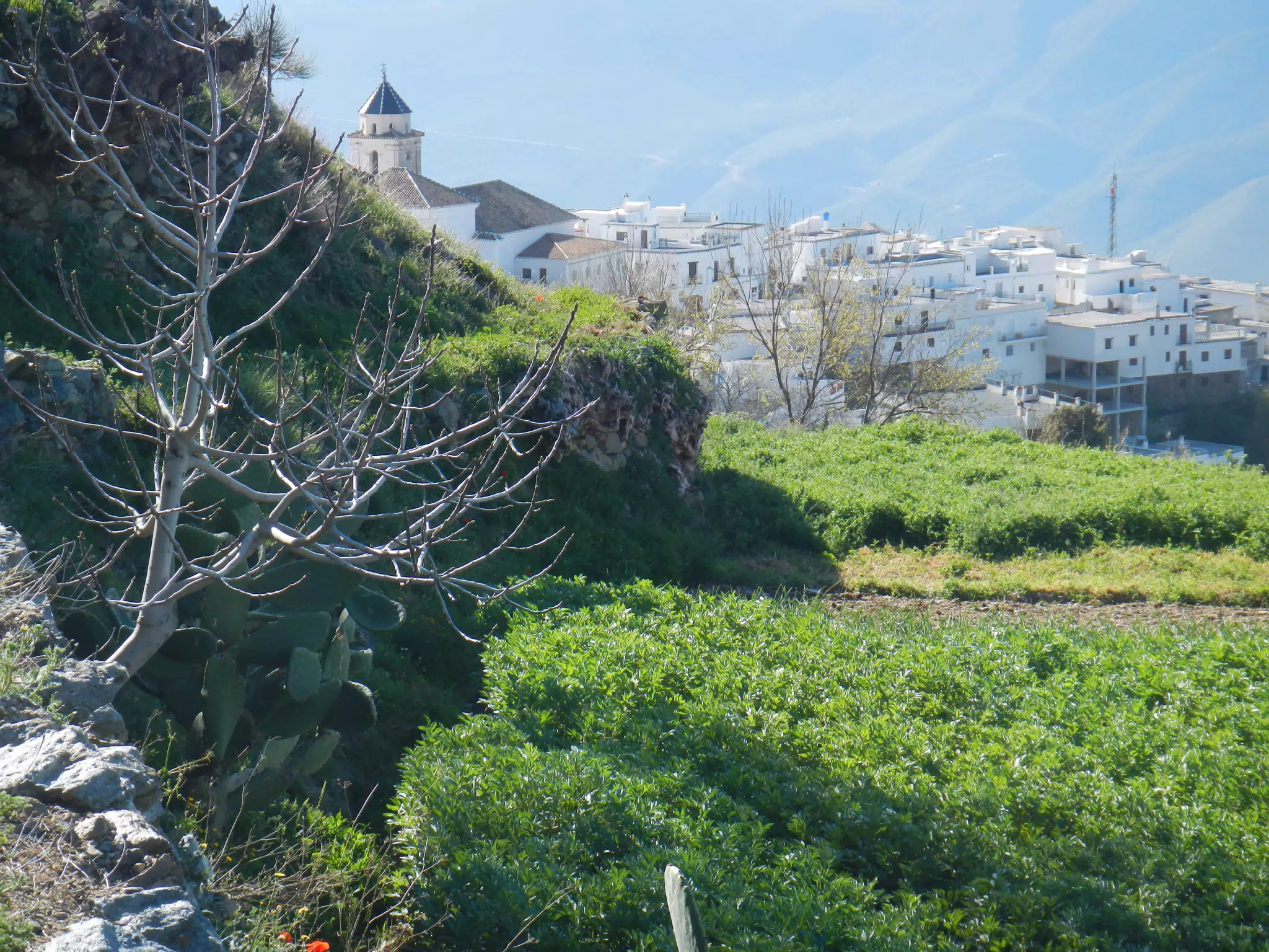 Cáñar from Garden