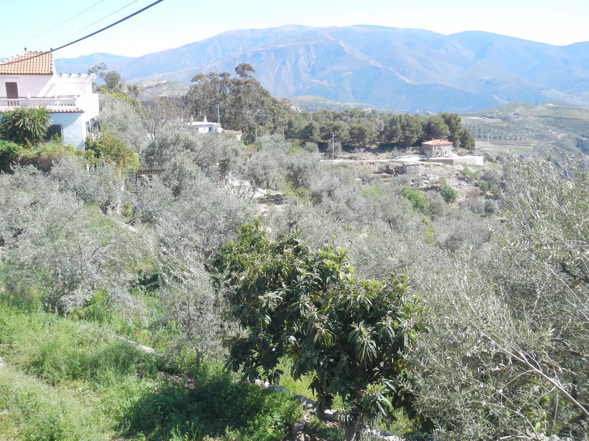 Houses Below Lanjarón