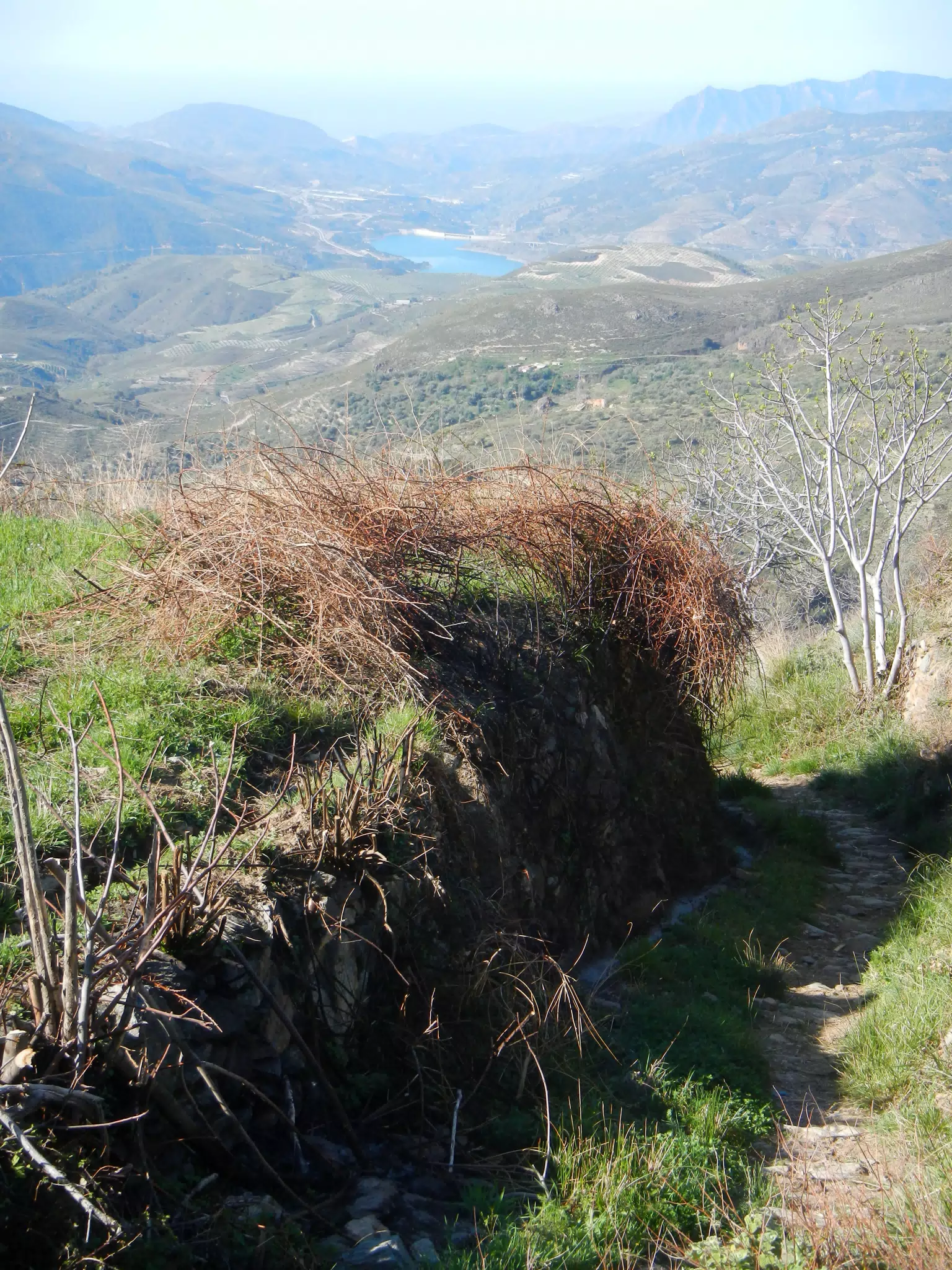 Trail over Valley with Reservoir