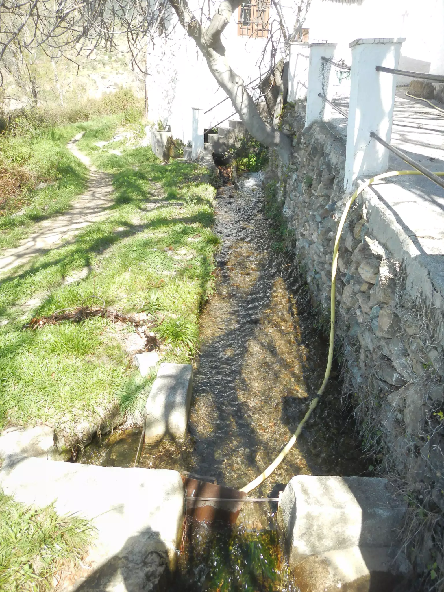 Acequia on Mountain