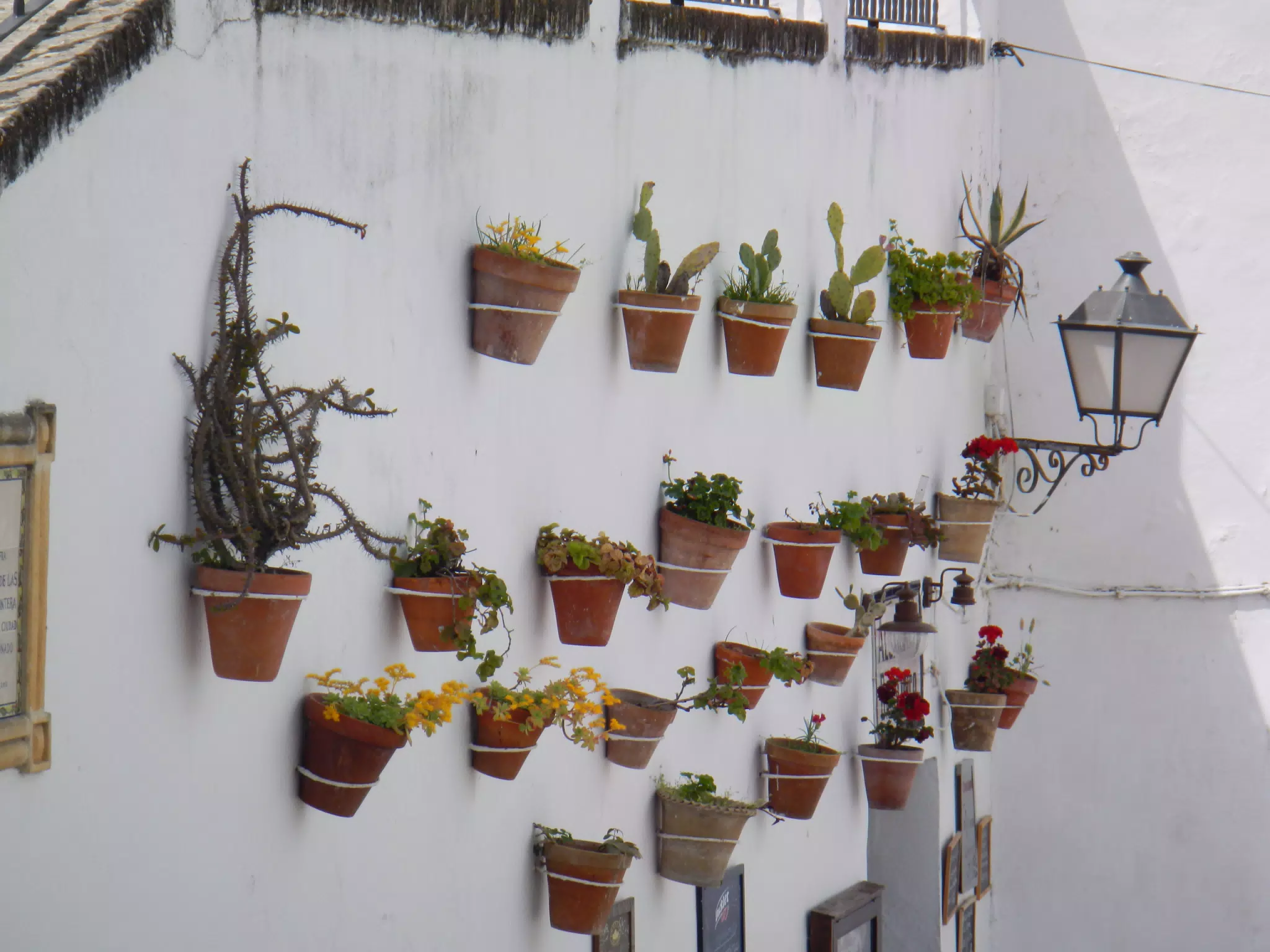 Flower Pots on Arcos Wall