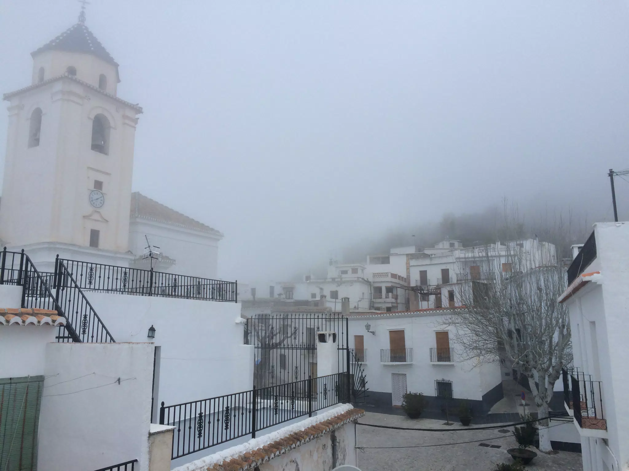 Misty Mountain Morning