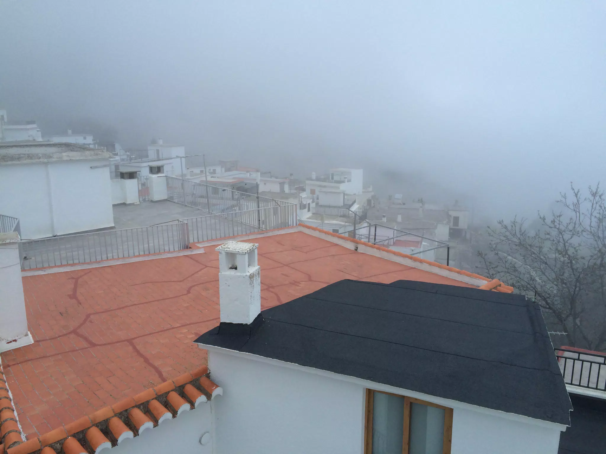 Misty Mountain Morning