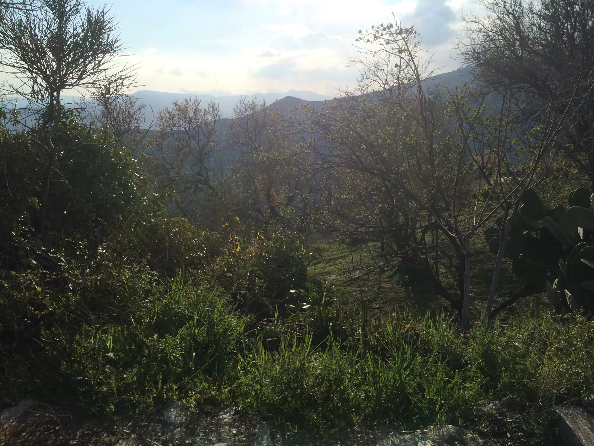 Top of Cañar