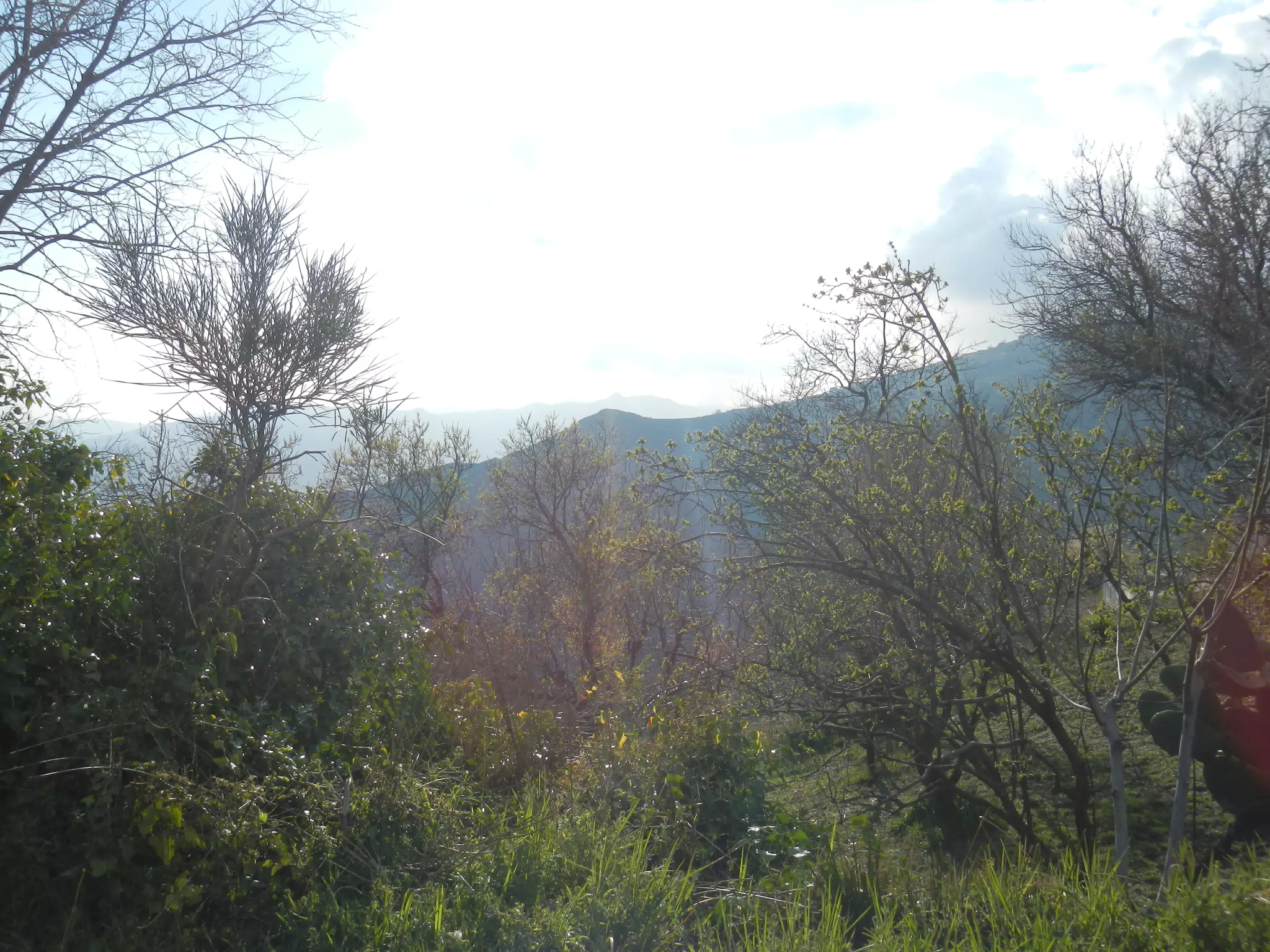 Looking West from Above Cañar