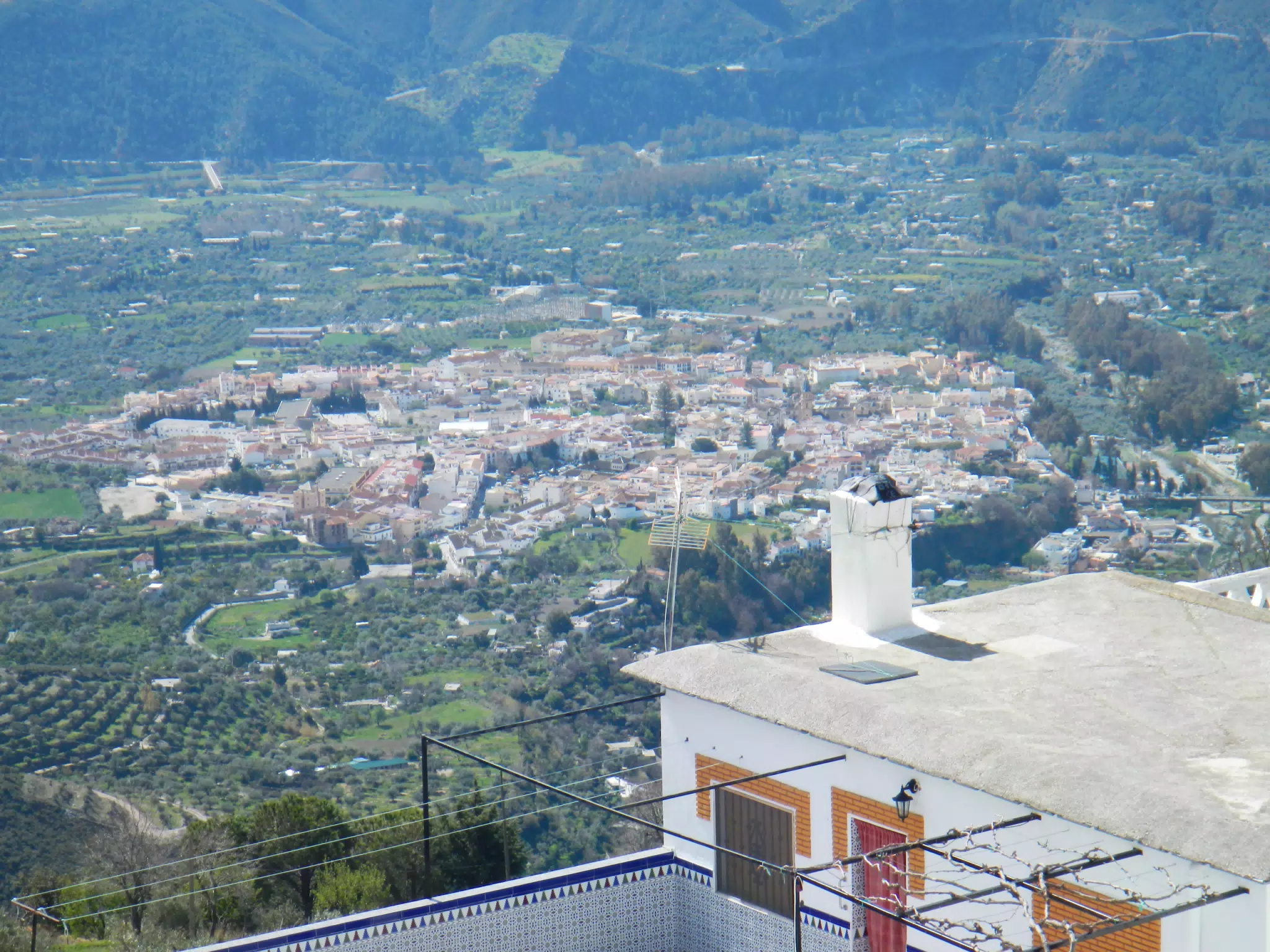 Orgiva