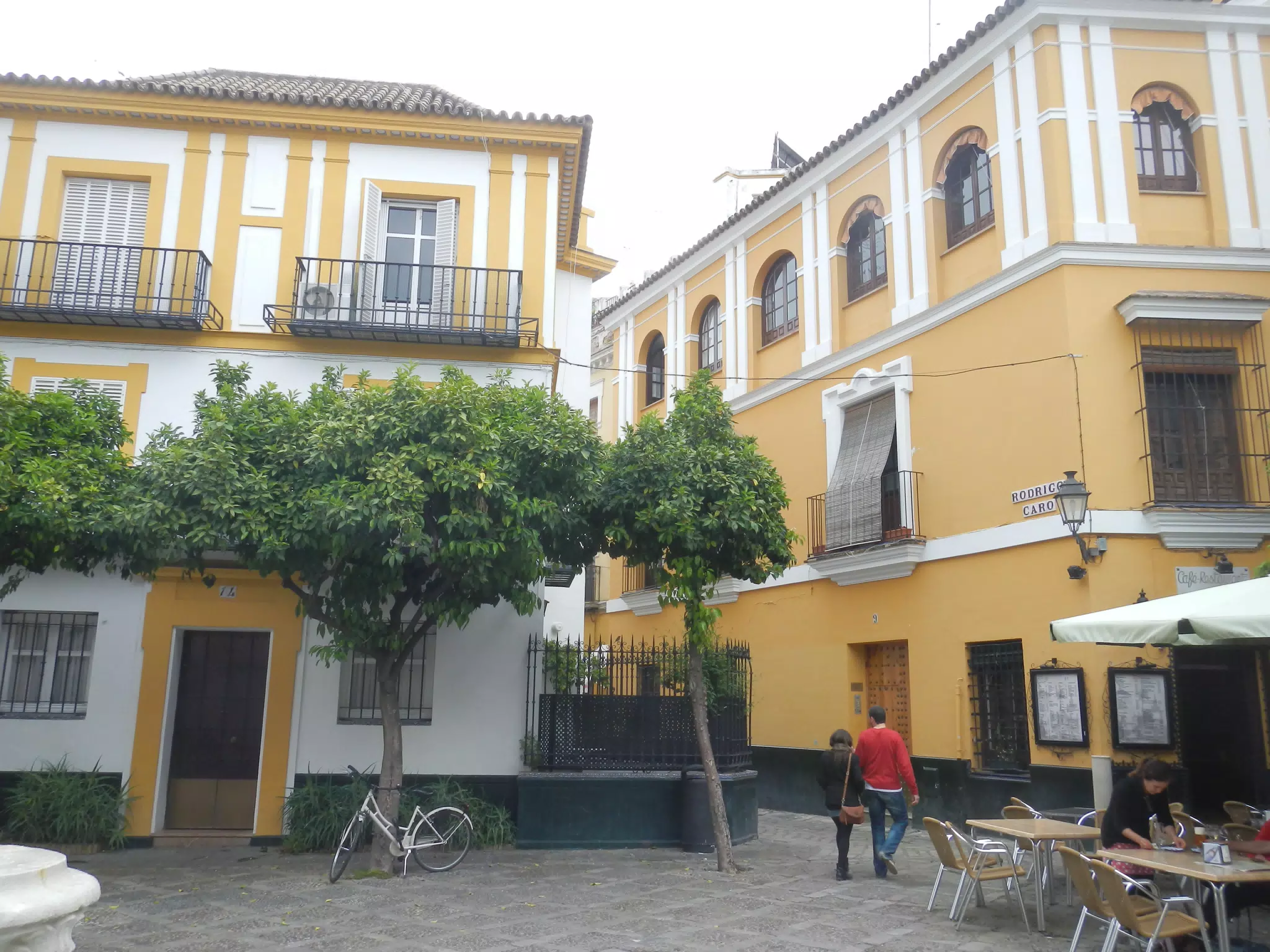 Orange Trees in Plaza in Sevilla