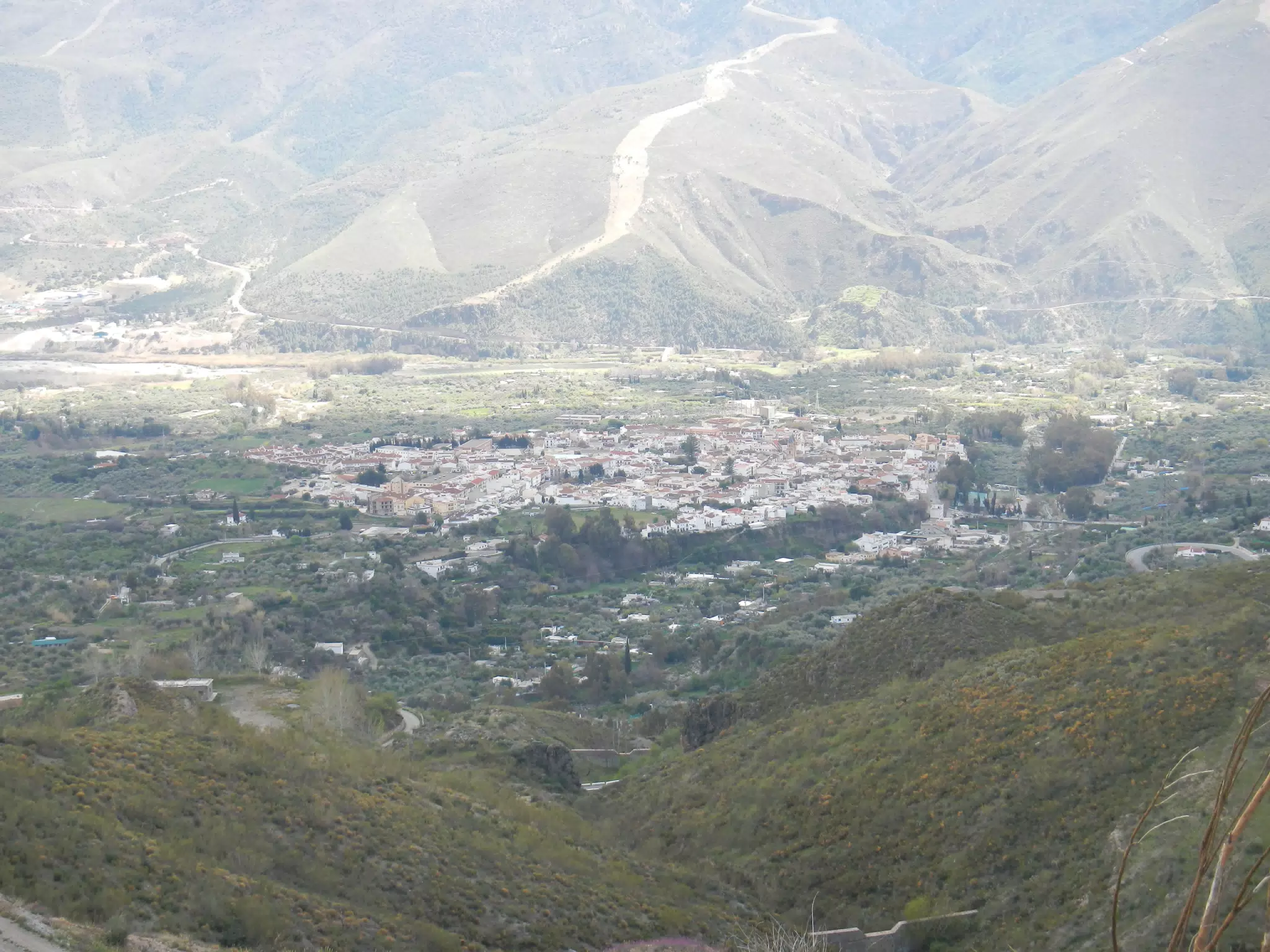 Orgiva