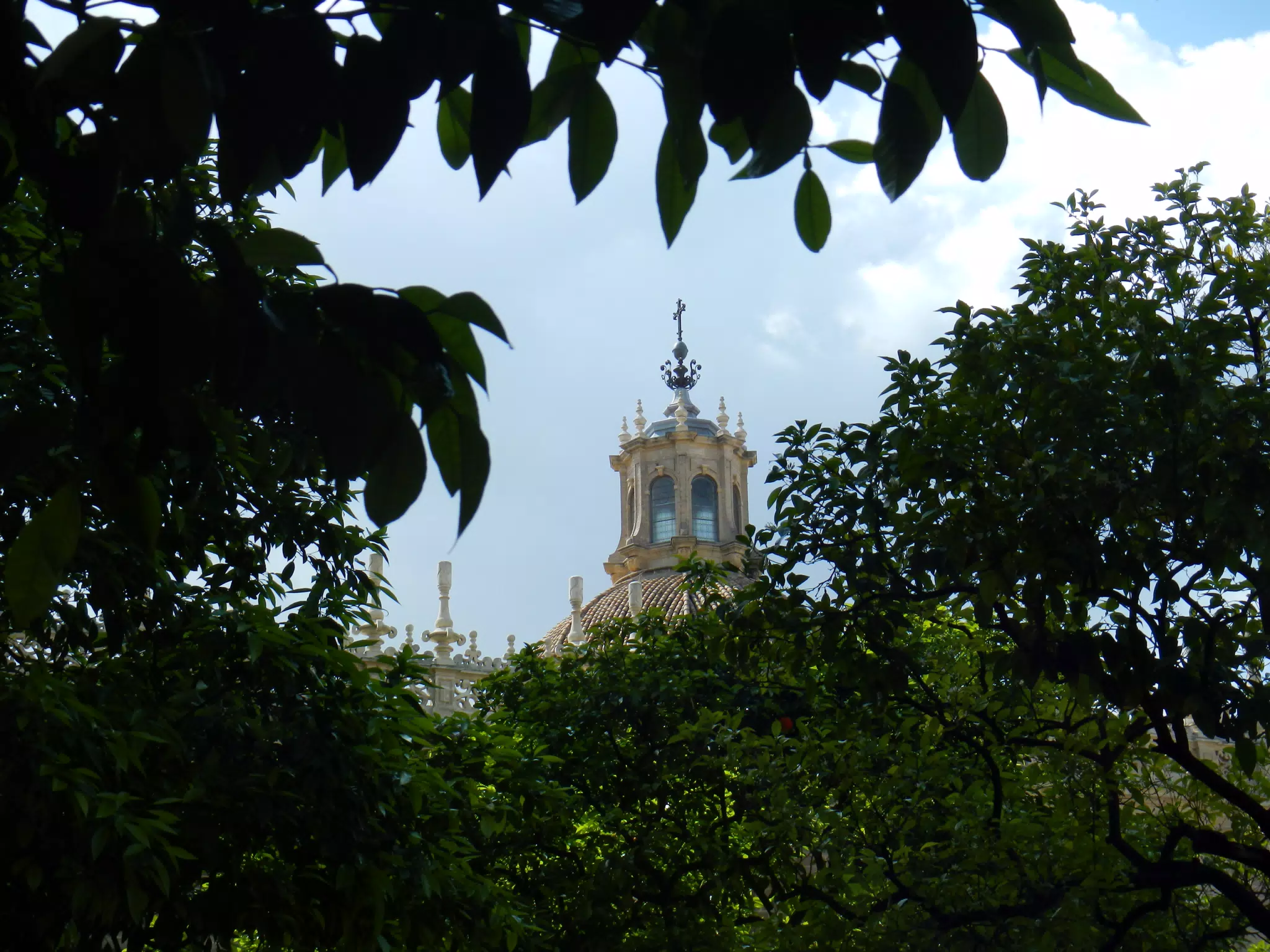 Cathedral Dome from Orange Grove