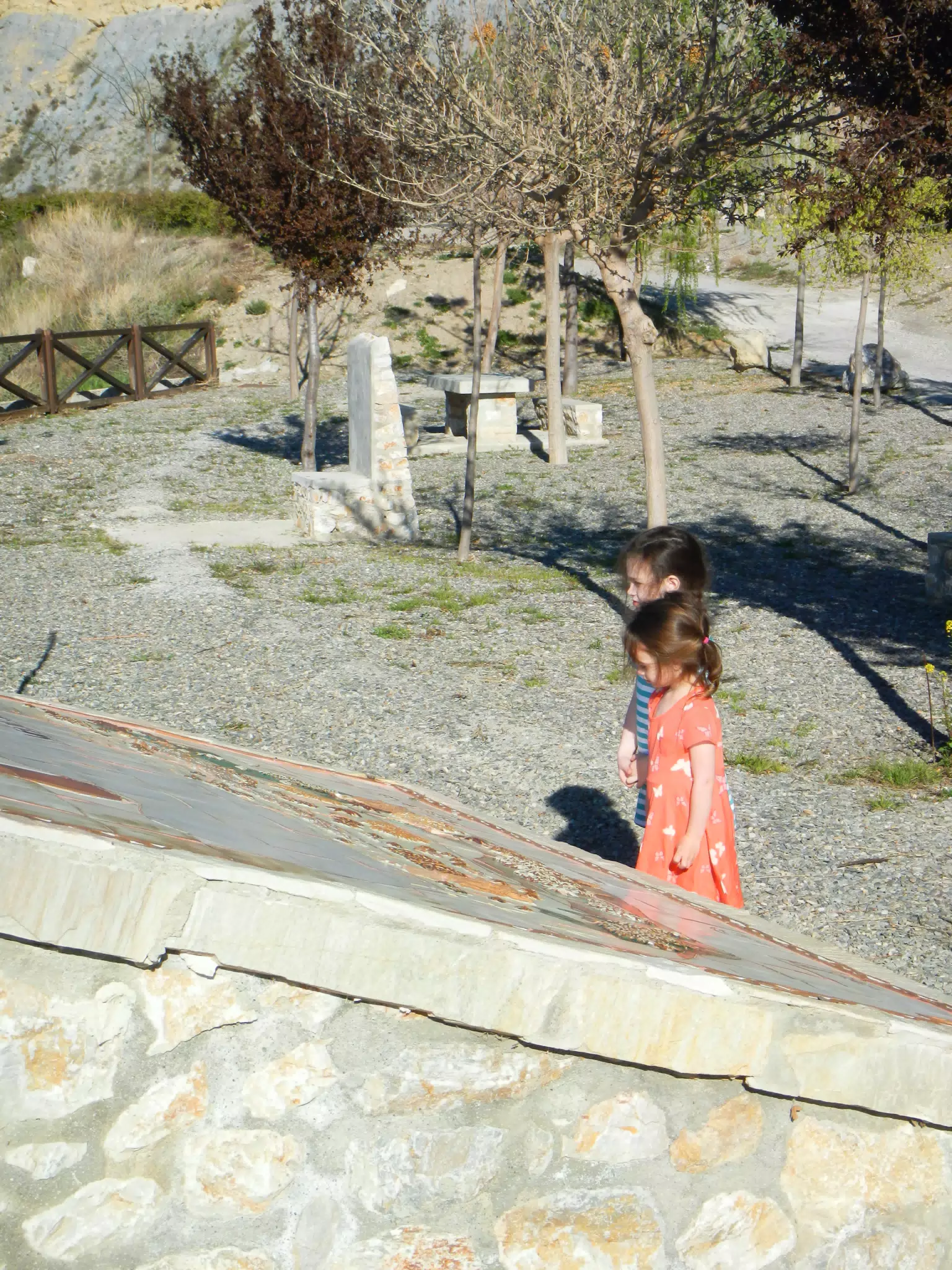 The Girls Reading the Map