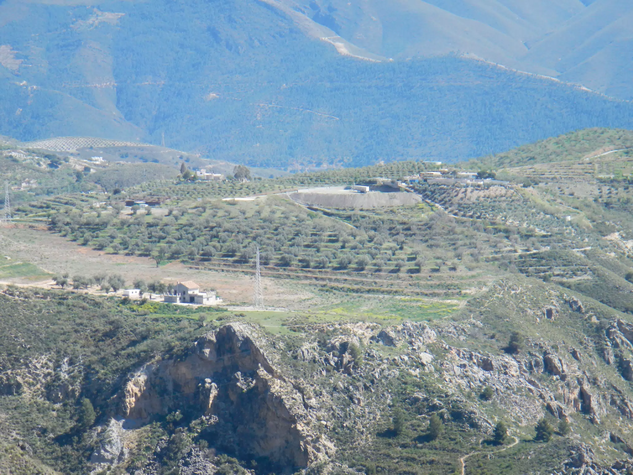 Olive Groves from Lanjarón