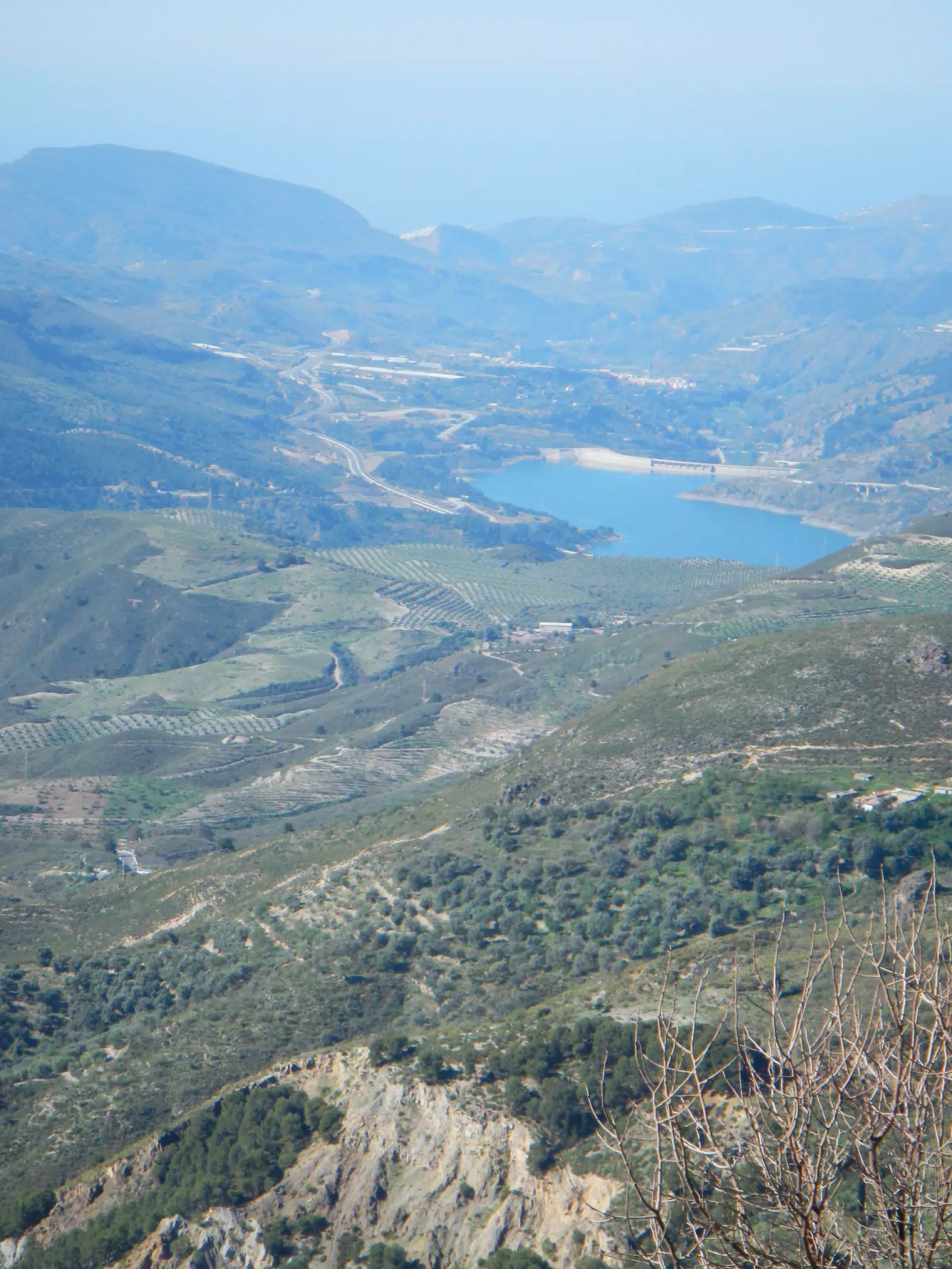 Valley and Sea from Mountain