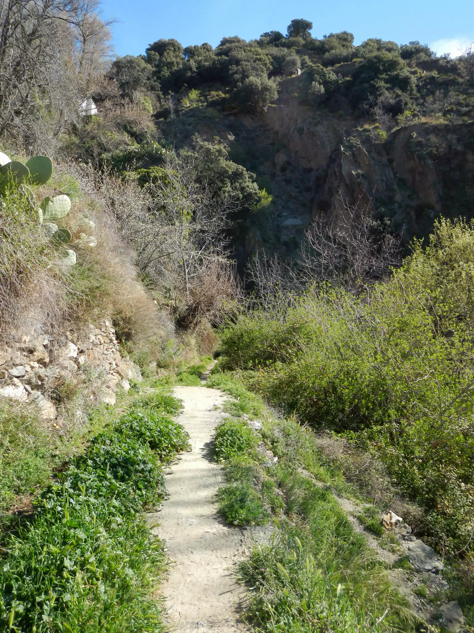 Mule Train on Far Side of Waterfall