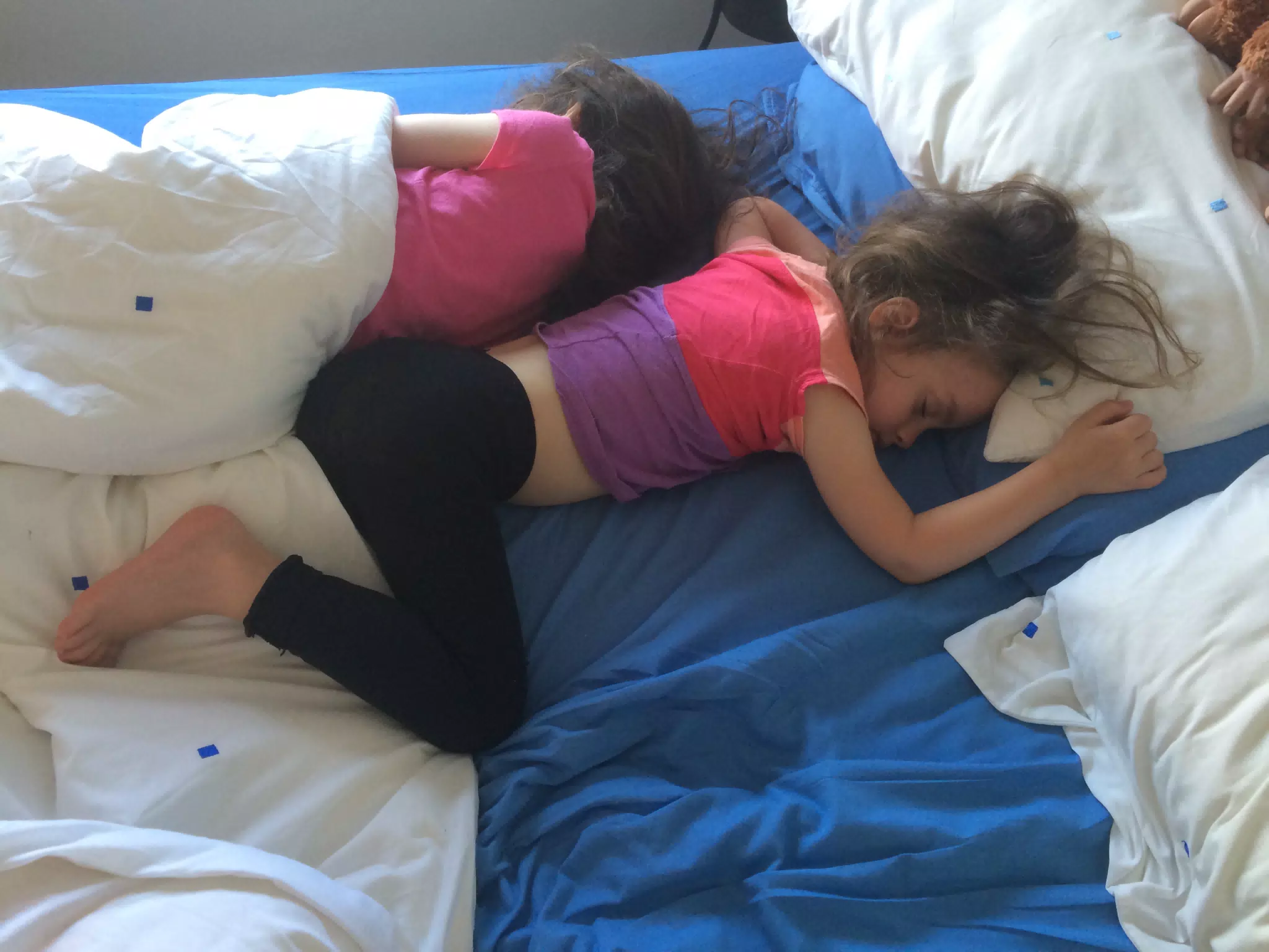 Sleeping Beauties