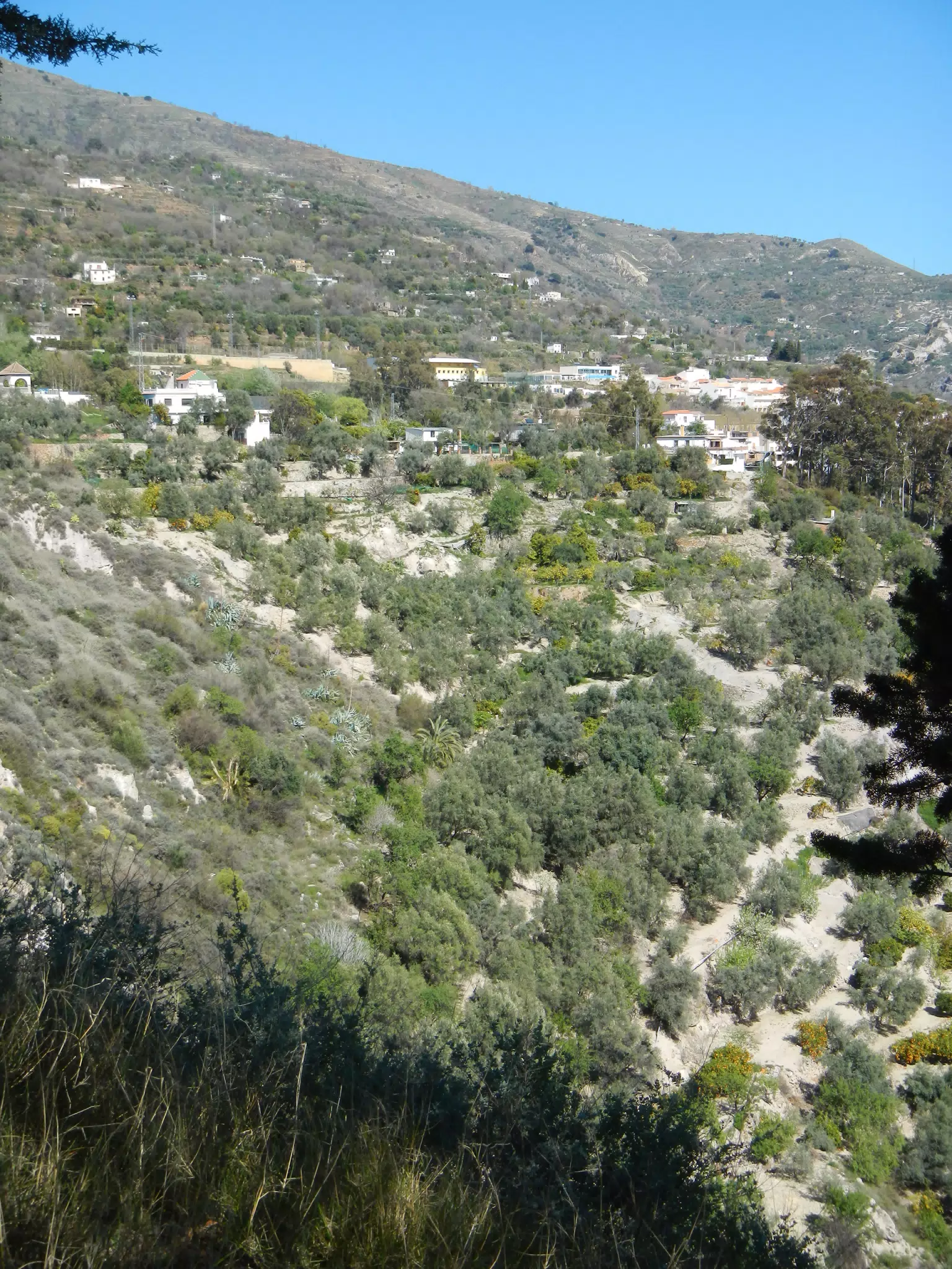 Lanjarón