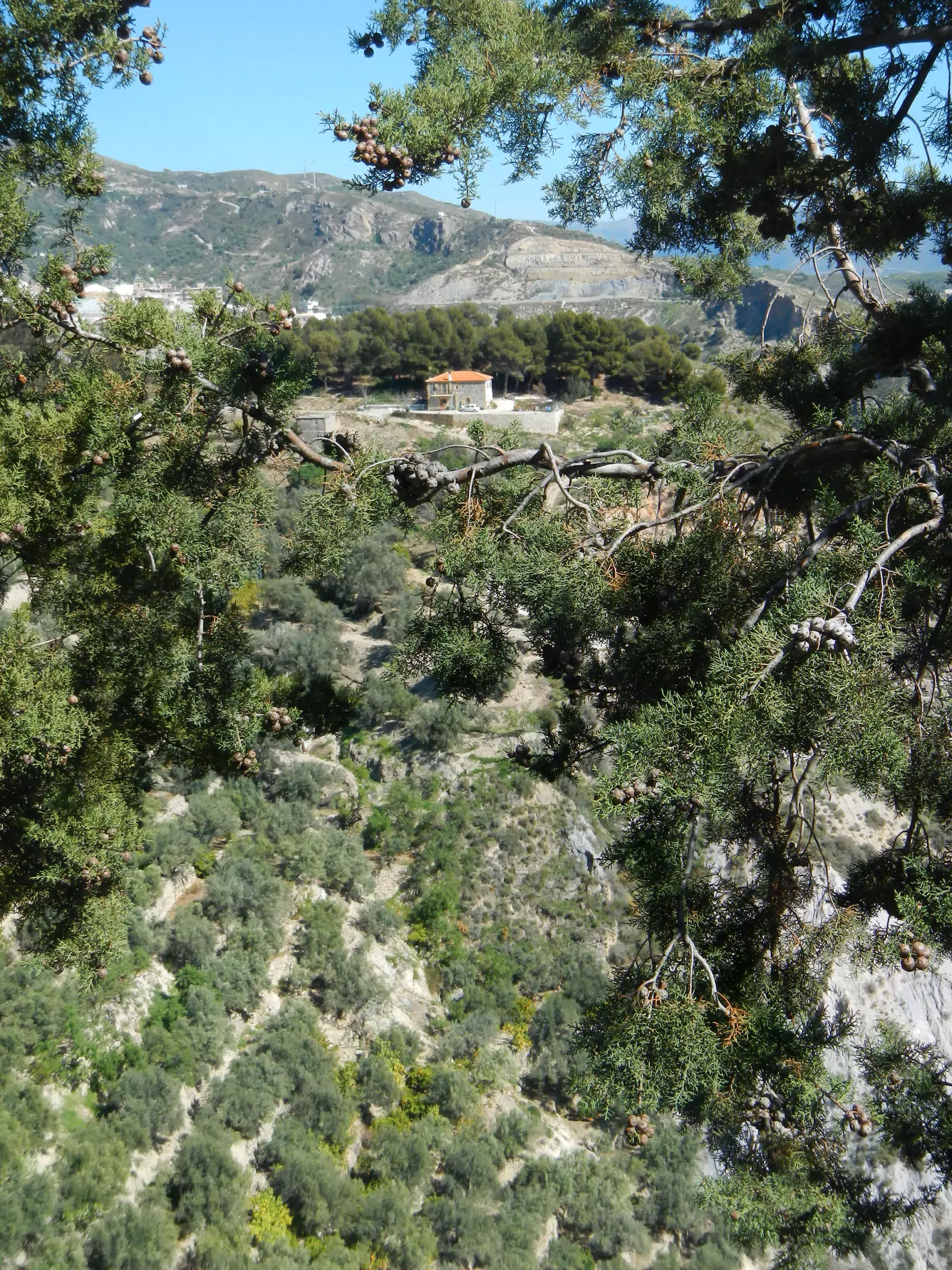 House in Larjarón Valley