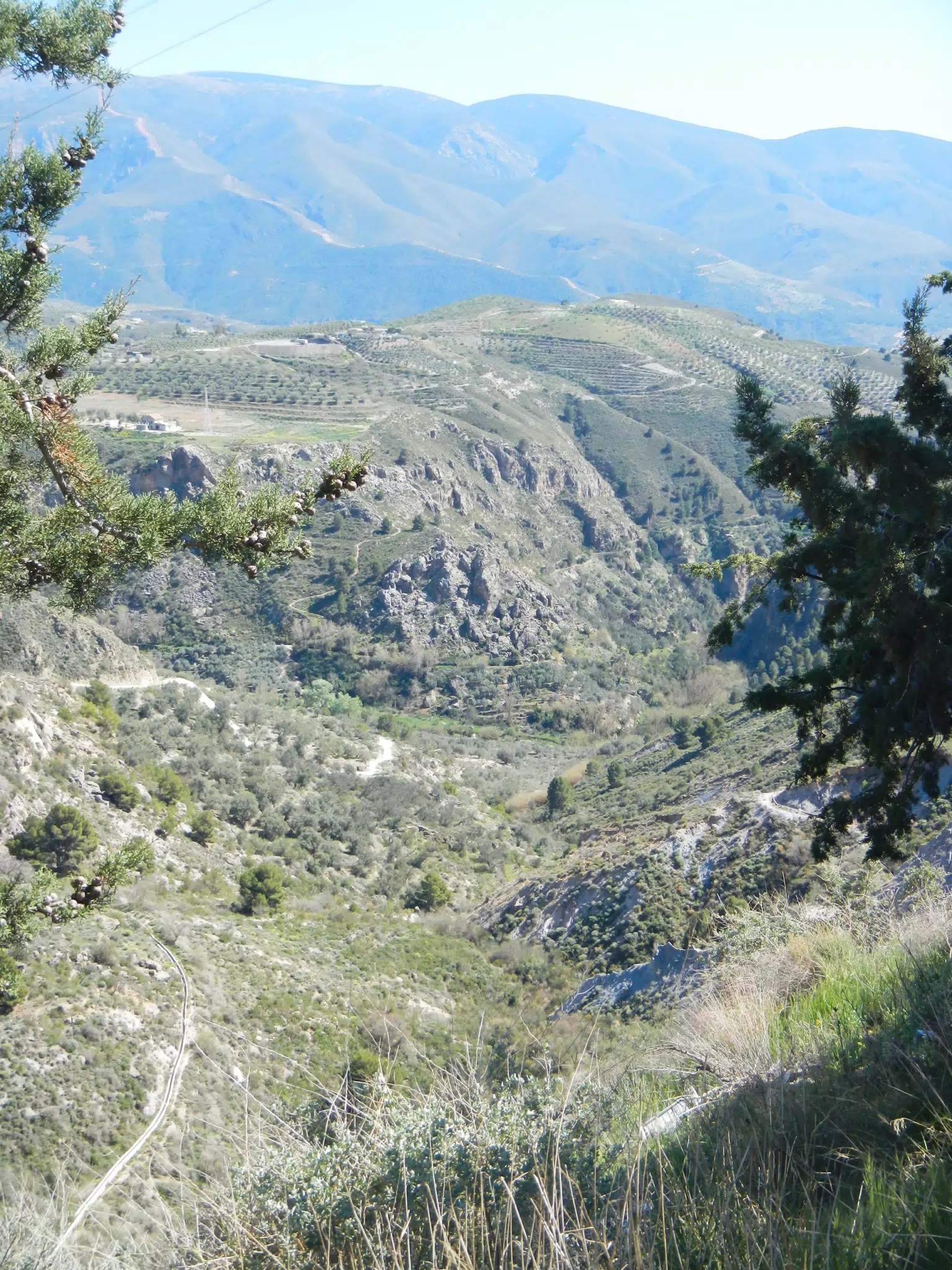 Valley Below Lanjarón