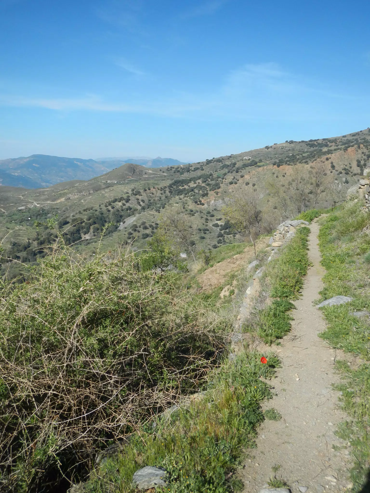 Trail Above Cáñar