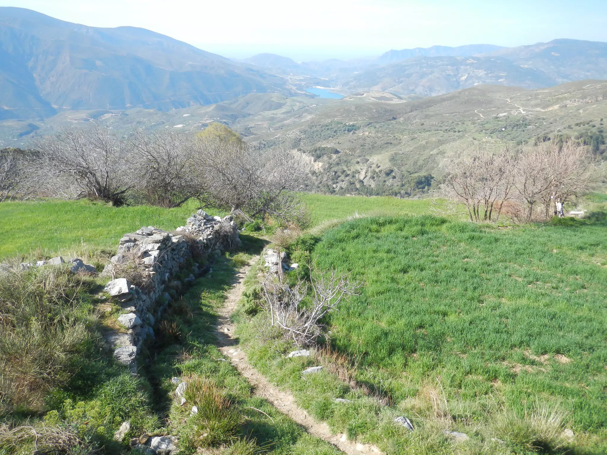 Mountain Trail