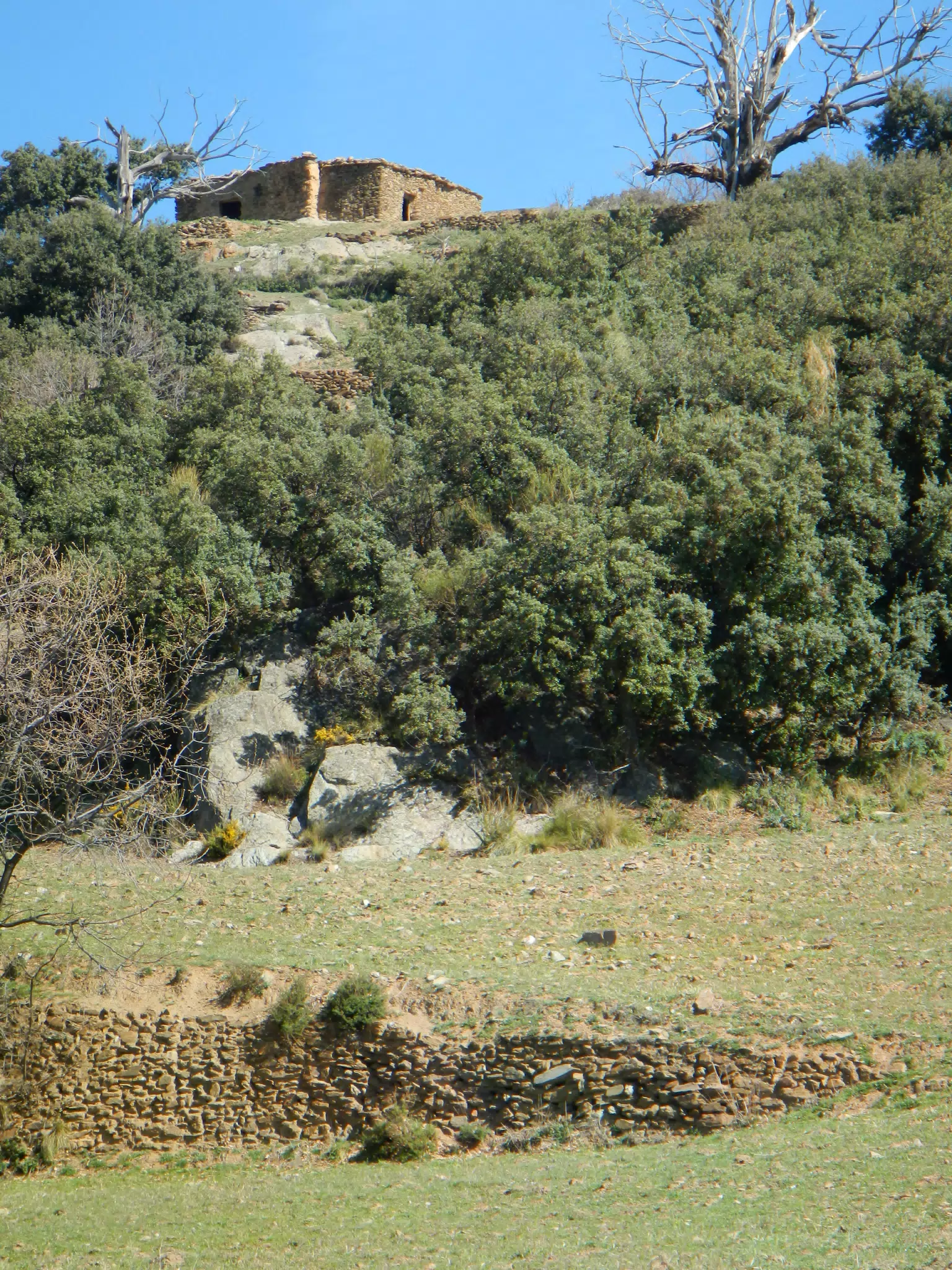 Farmhouse