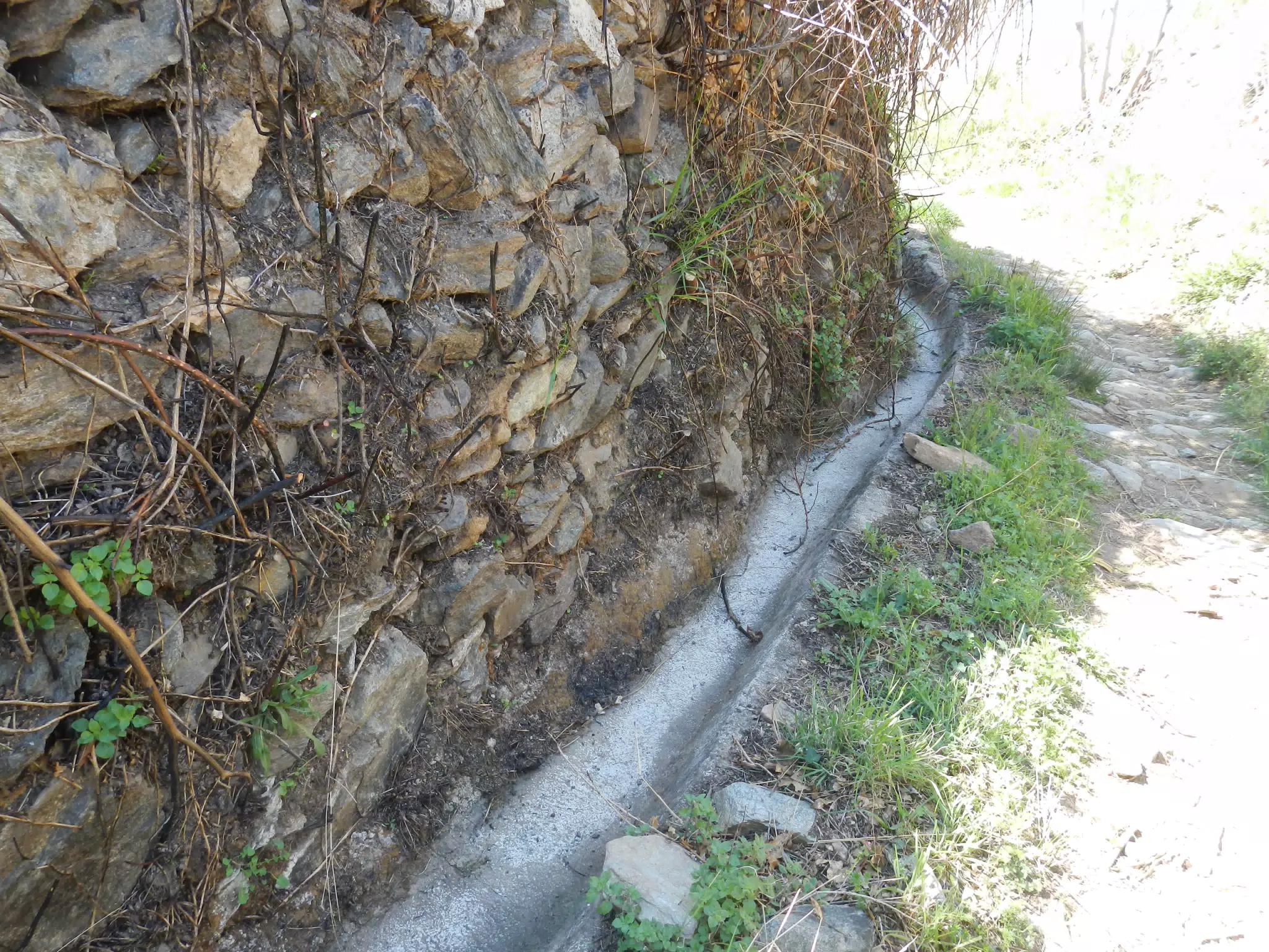 Acequia