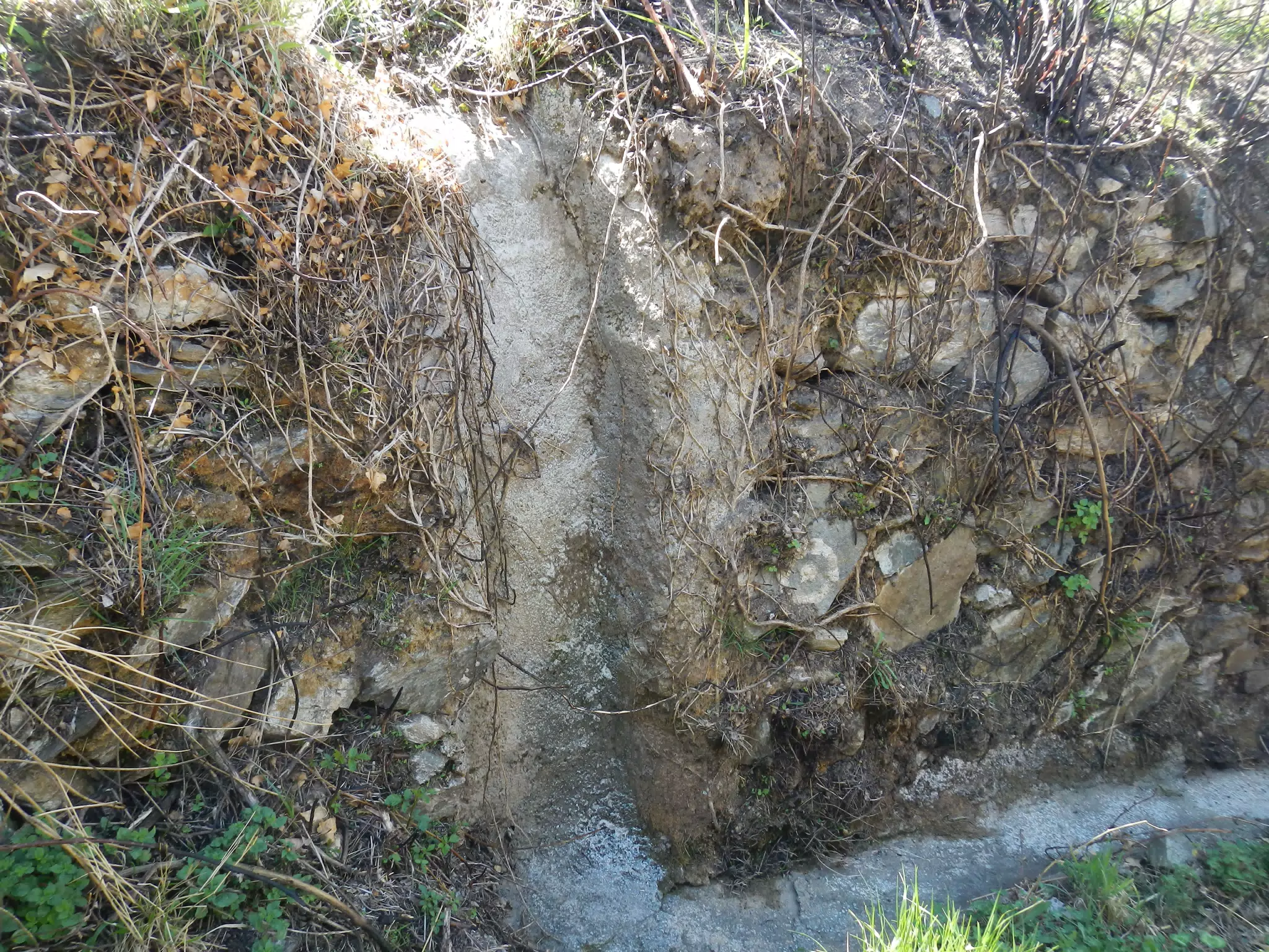 Acequia