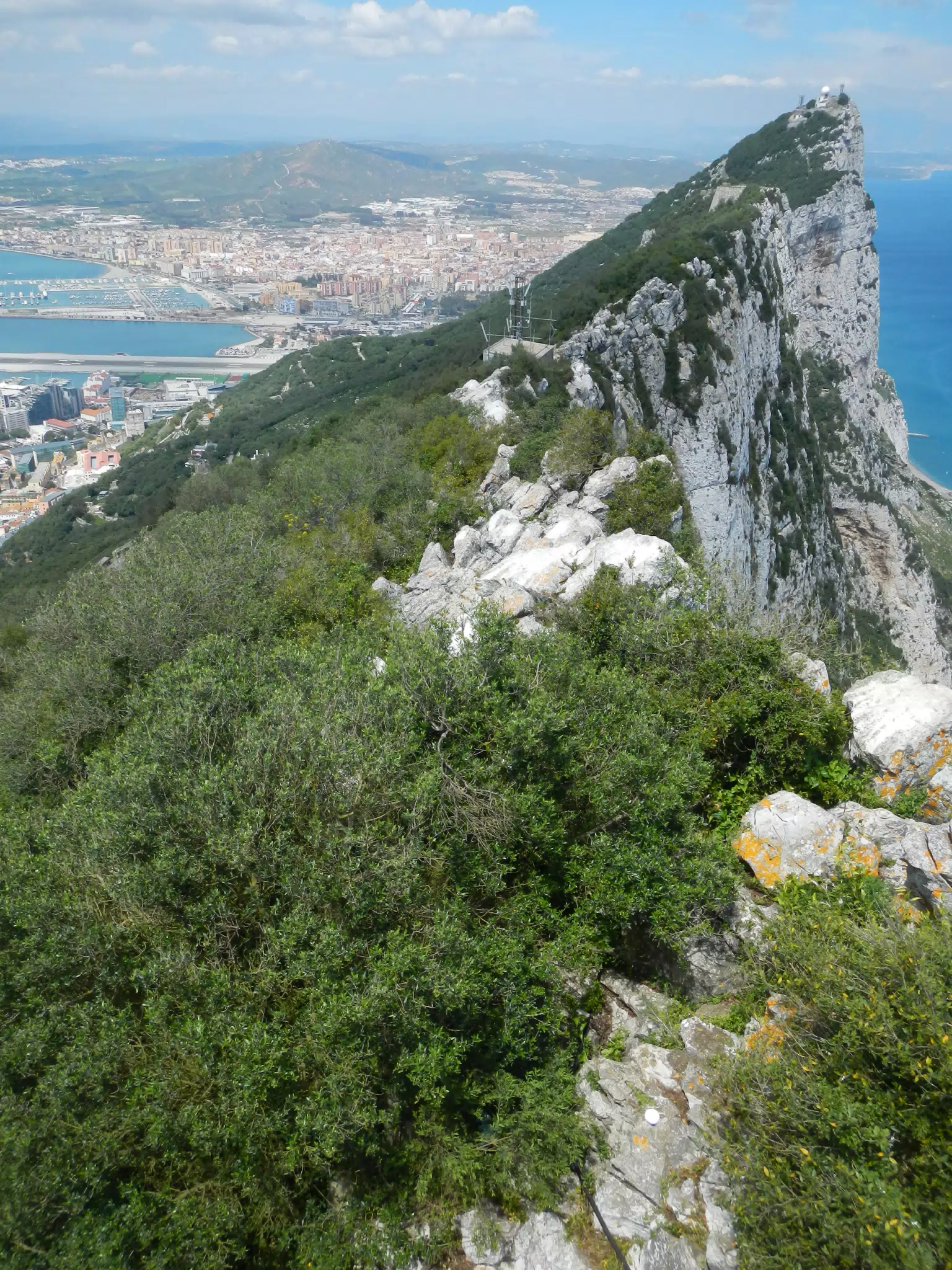 Top of the Rock and La Linea