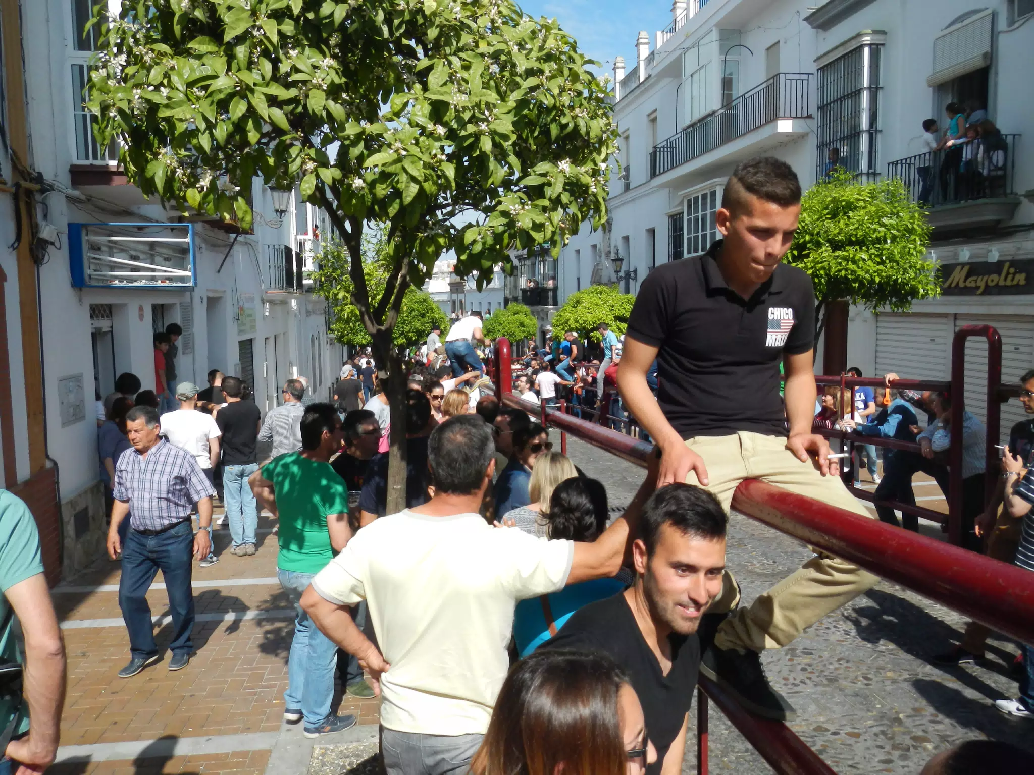 Lining Up for the Running of the Bull