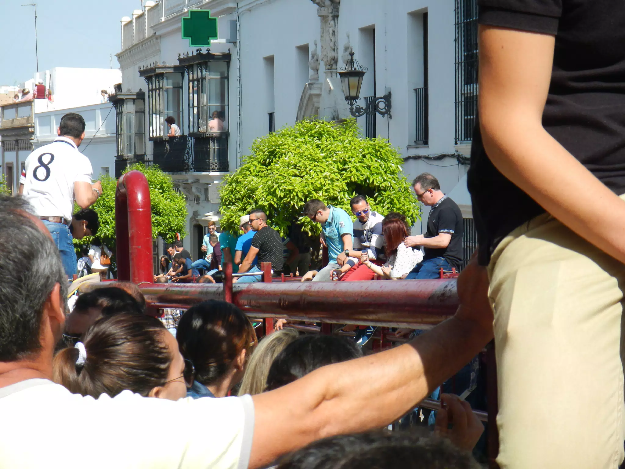 Bull Crowds in Arcos