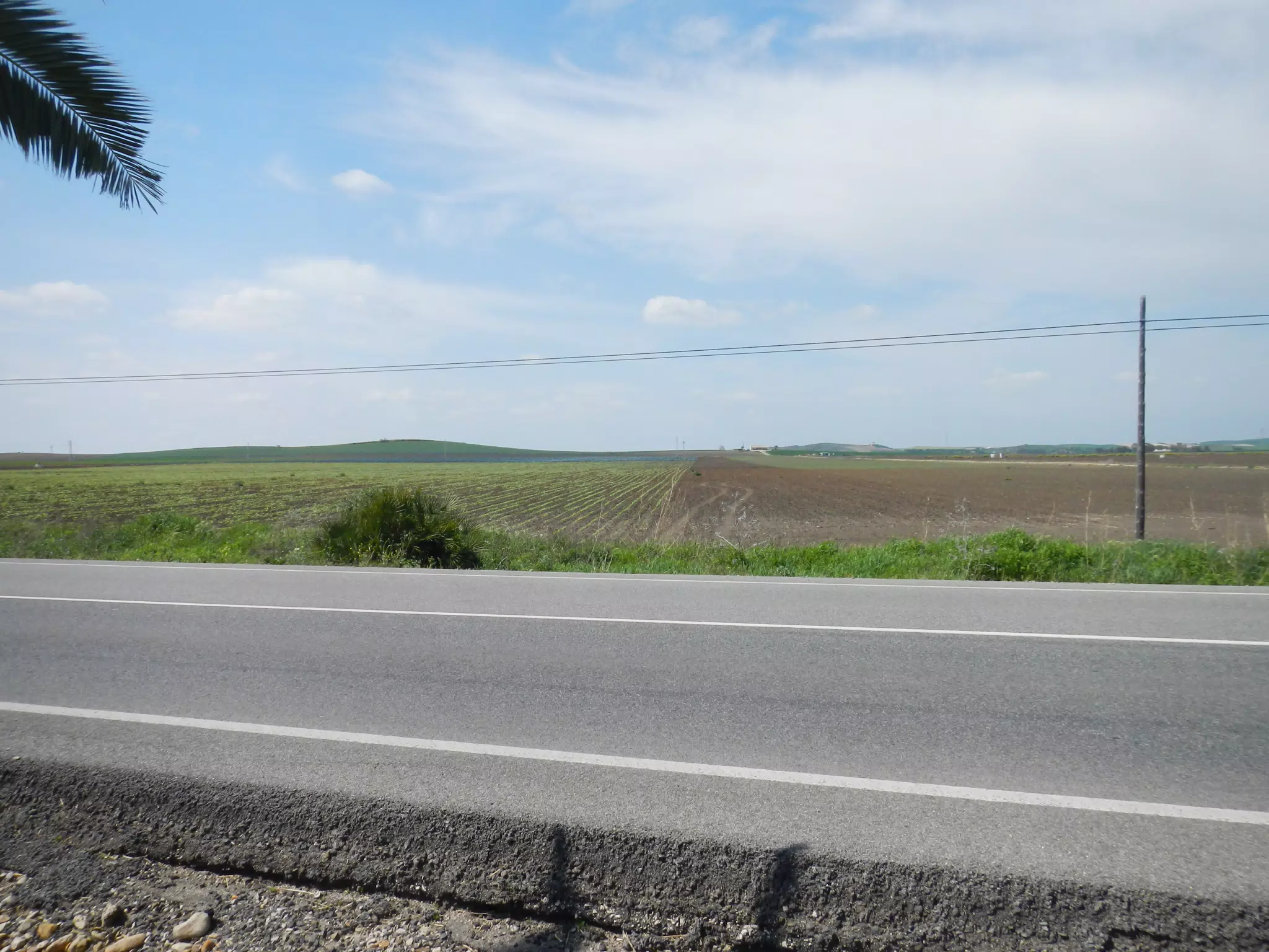 Fields in Spain from Highway