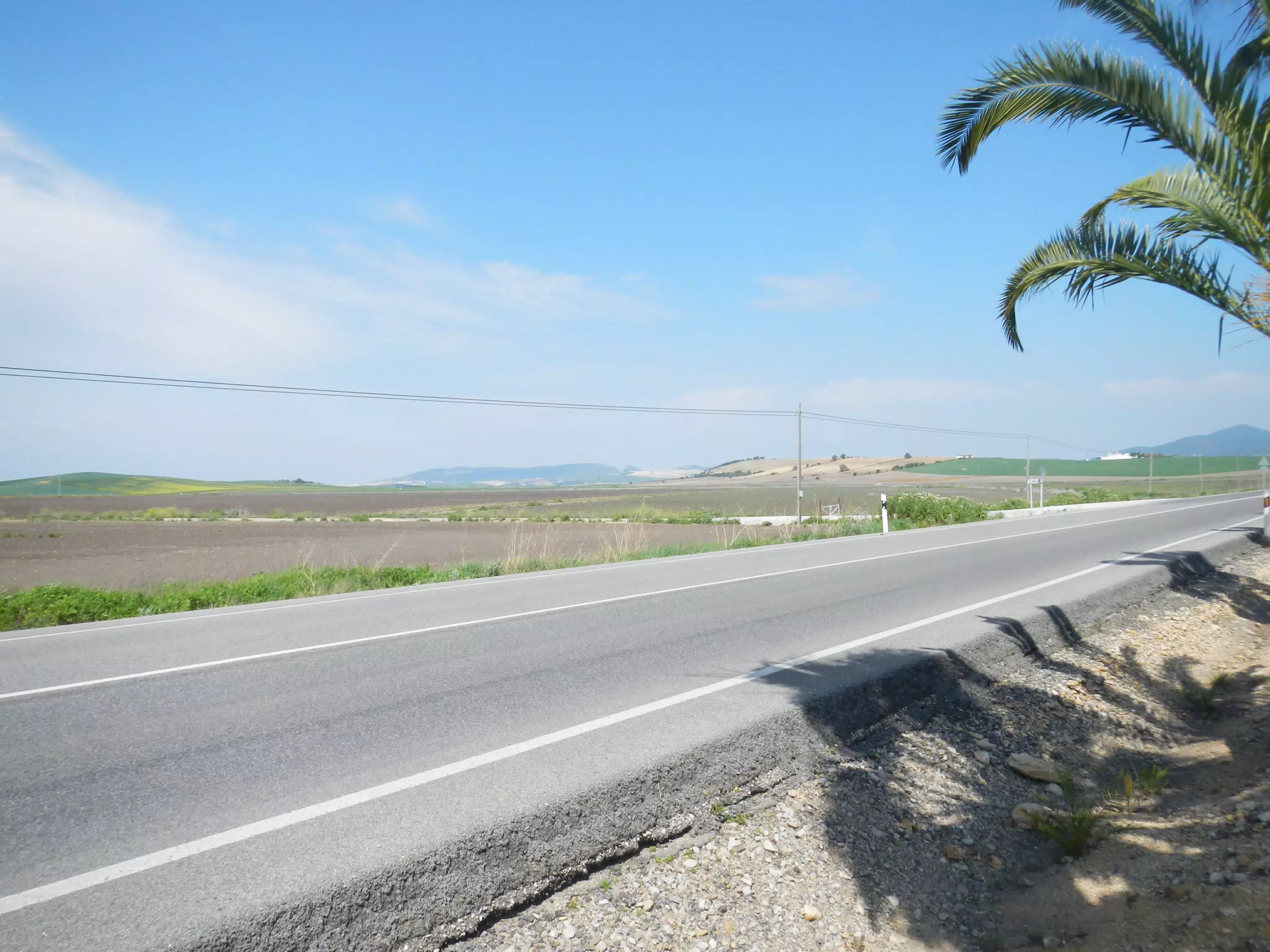 Fields in Spain