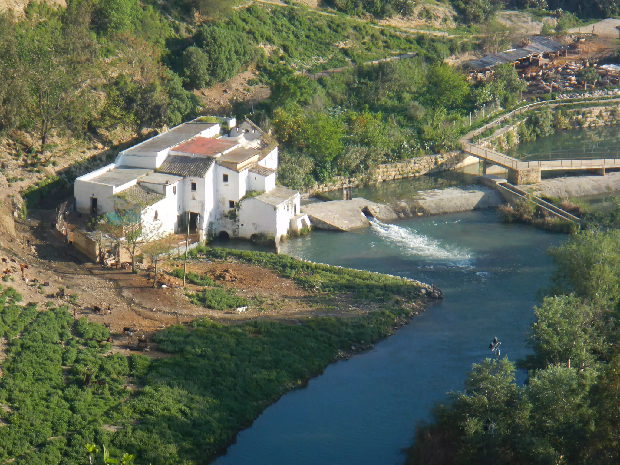 River Below Arcos de la Frontera