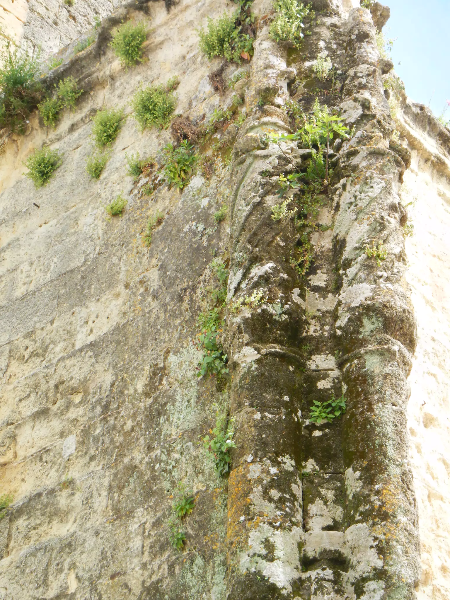 Detail on Igelsia de Santa María