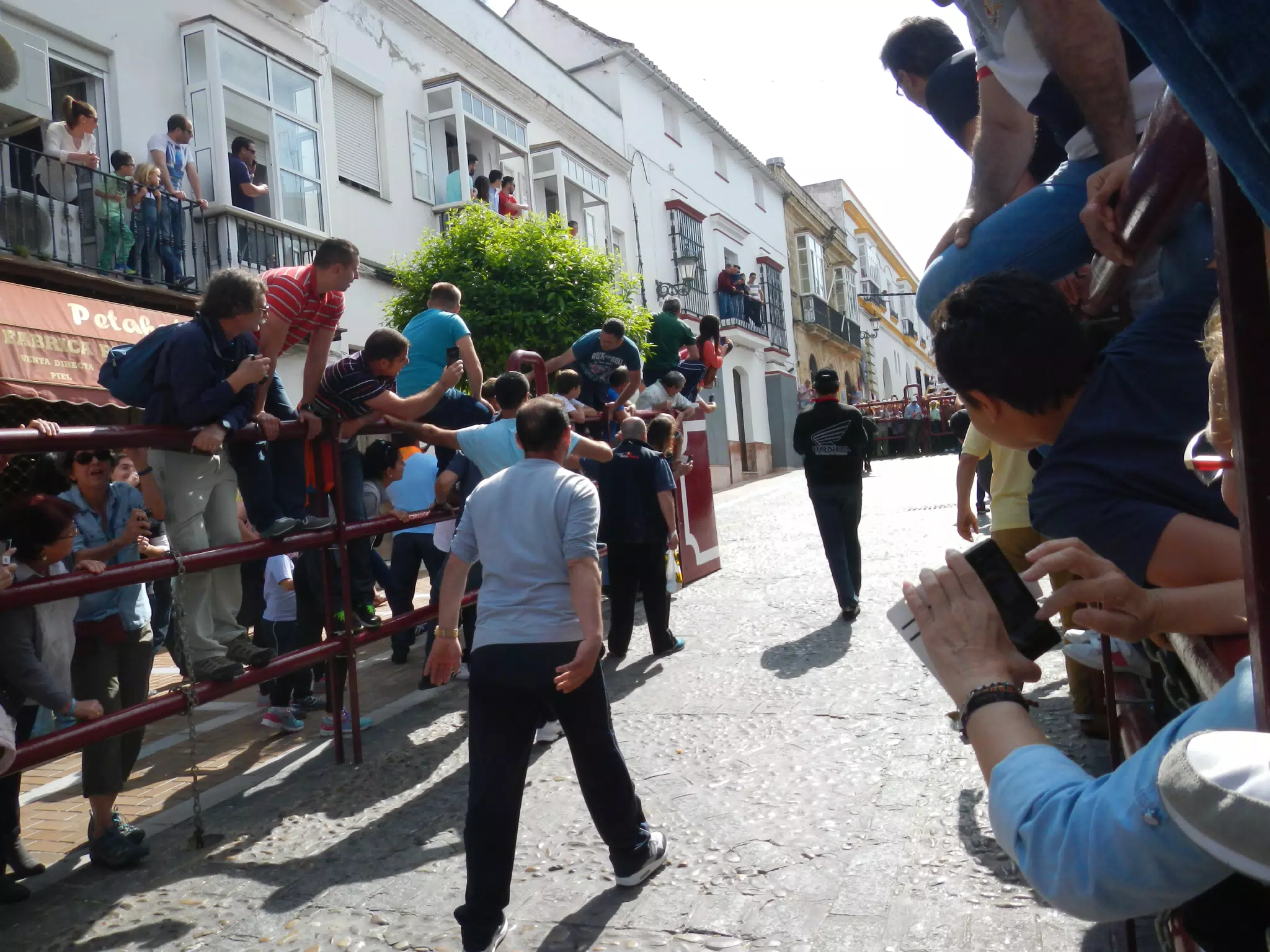 Running of the Bulls, Arcos de la Frontera