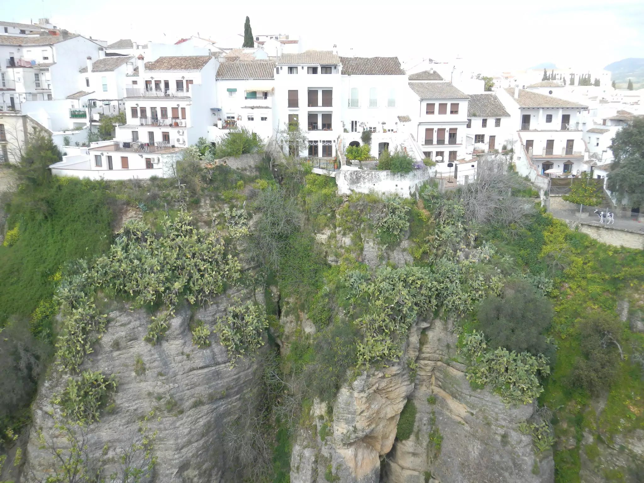 Houses in Ronda's New Town