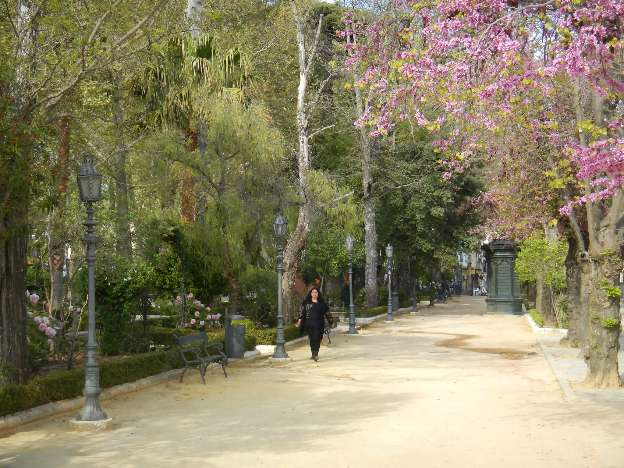 Garden Path in Ronda