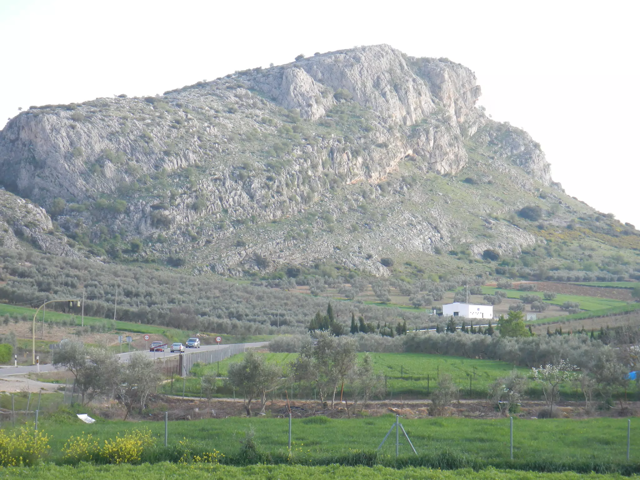 Mountain from Gas Station
