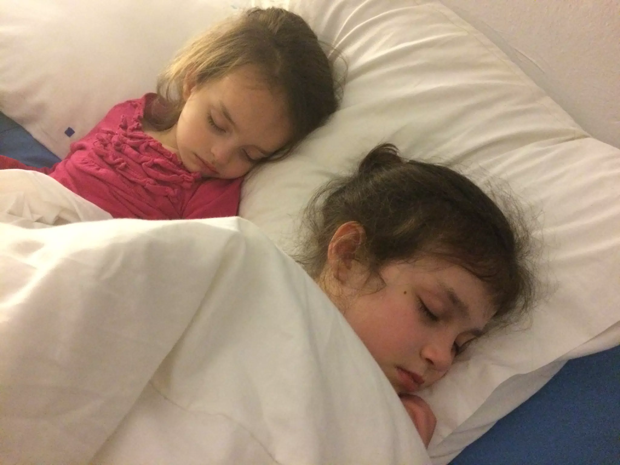 Cuties Asleep