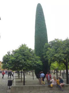 Park in Cordoba, Spain