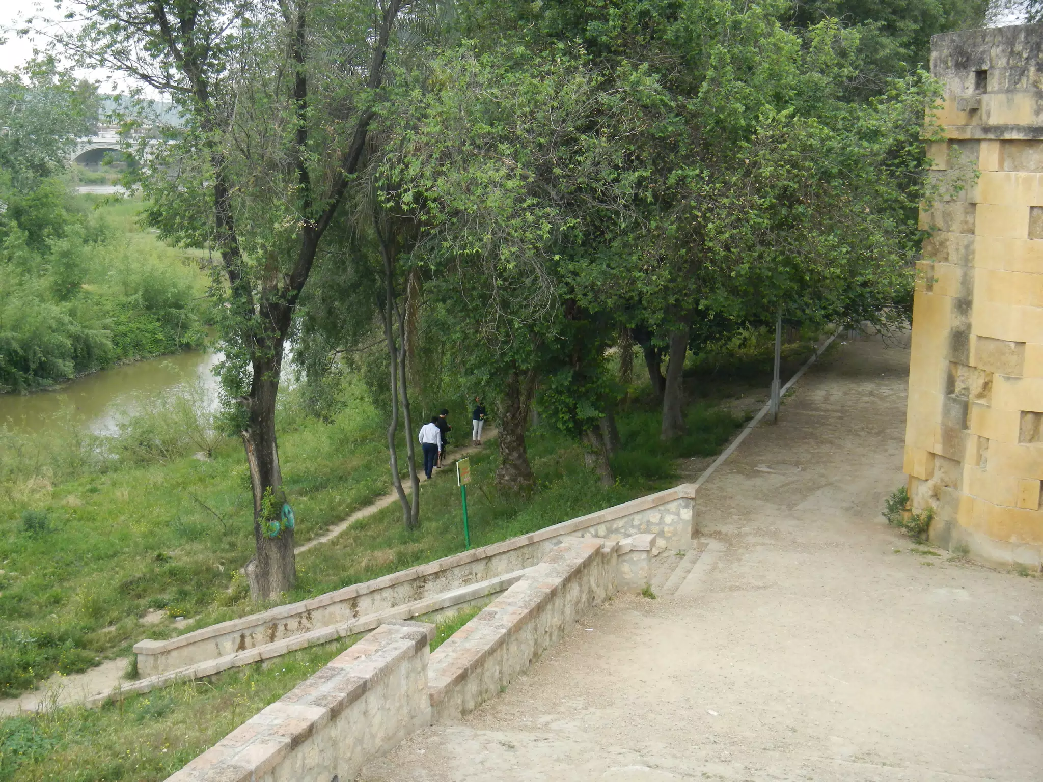 Path Along the River in Cordoba