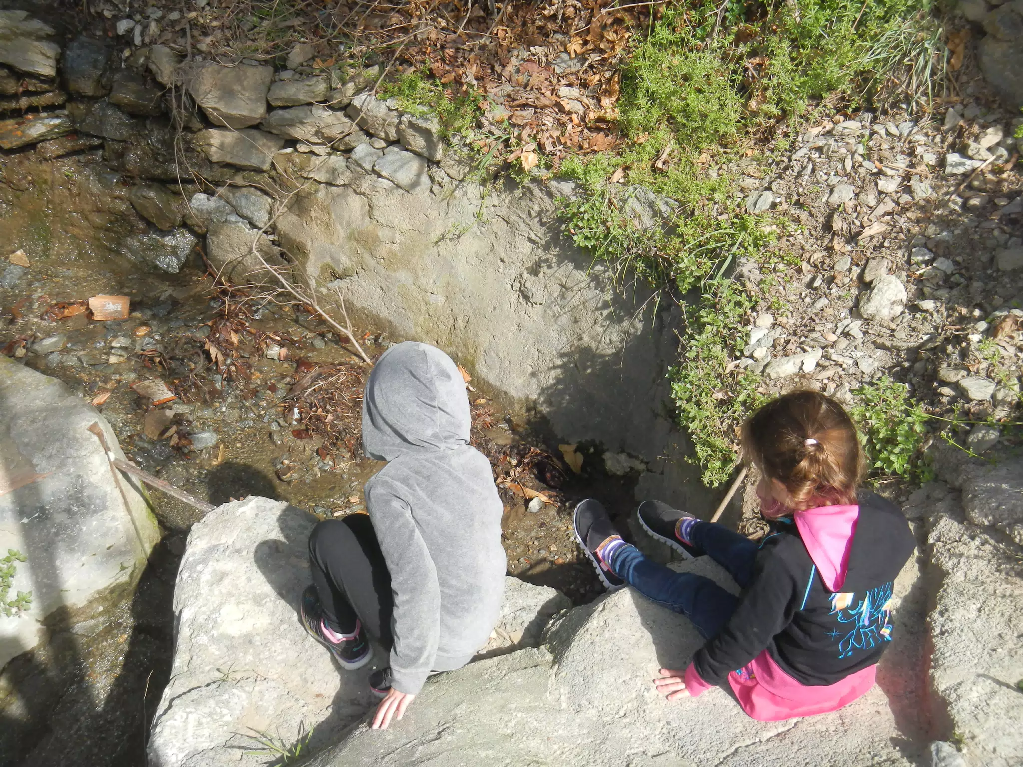 The Girls Exploring an Acequia