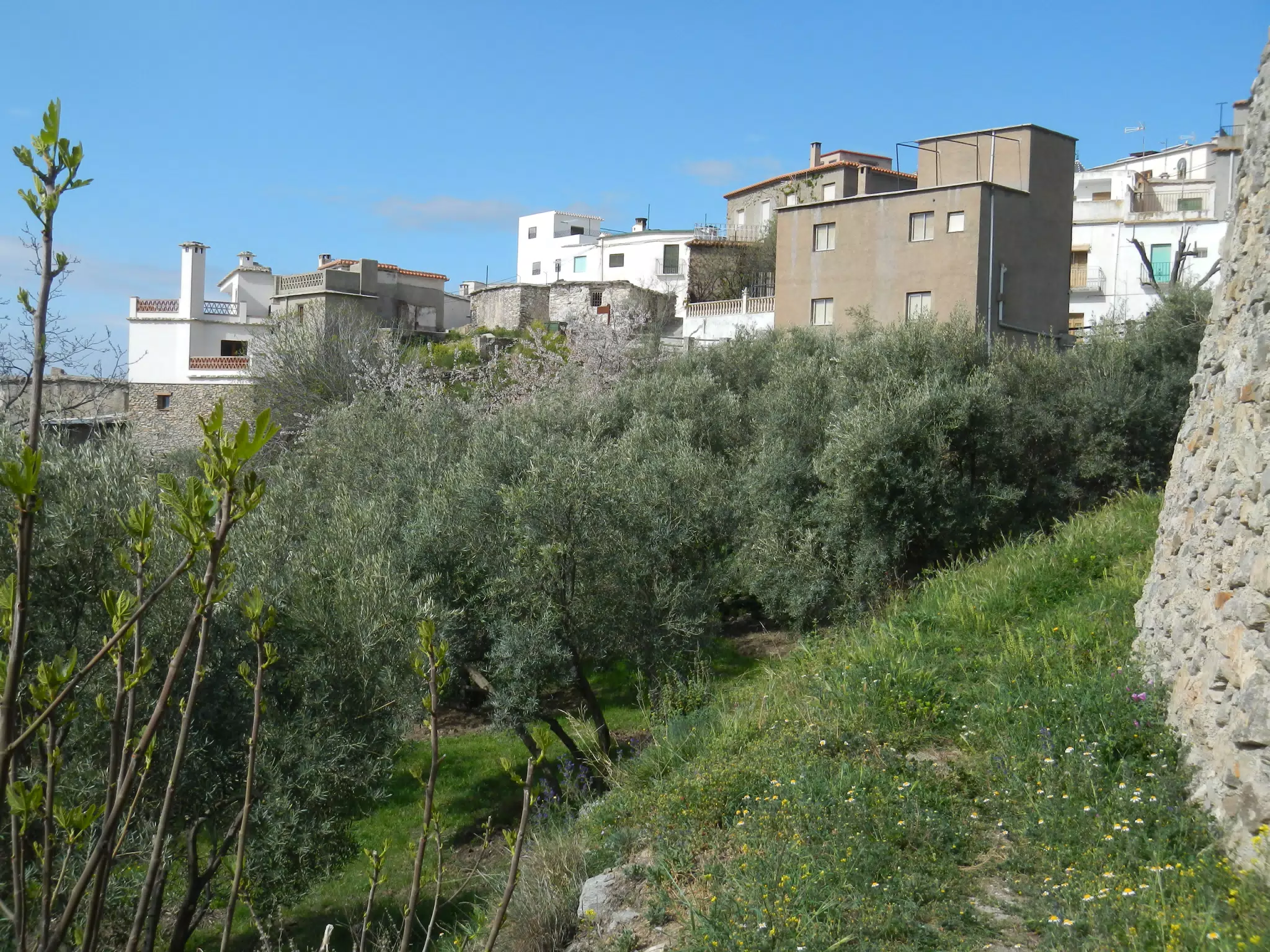 Cáñar from Farm Path