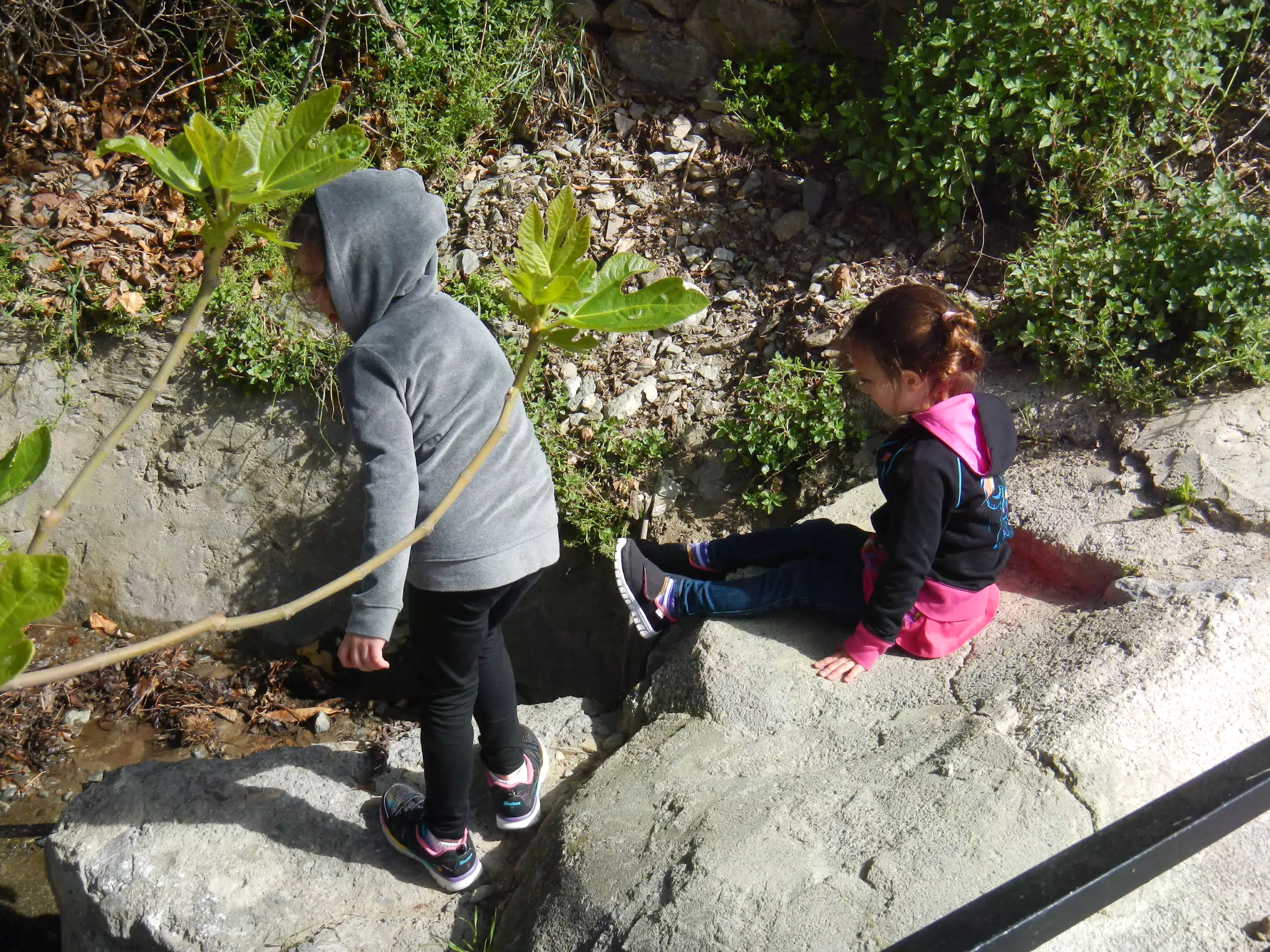 The Girls Exploring an Acequia