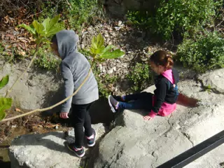 The Girls Exploring an Acequia