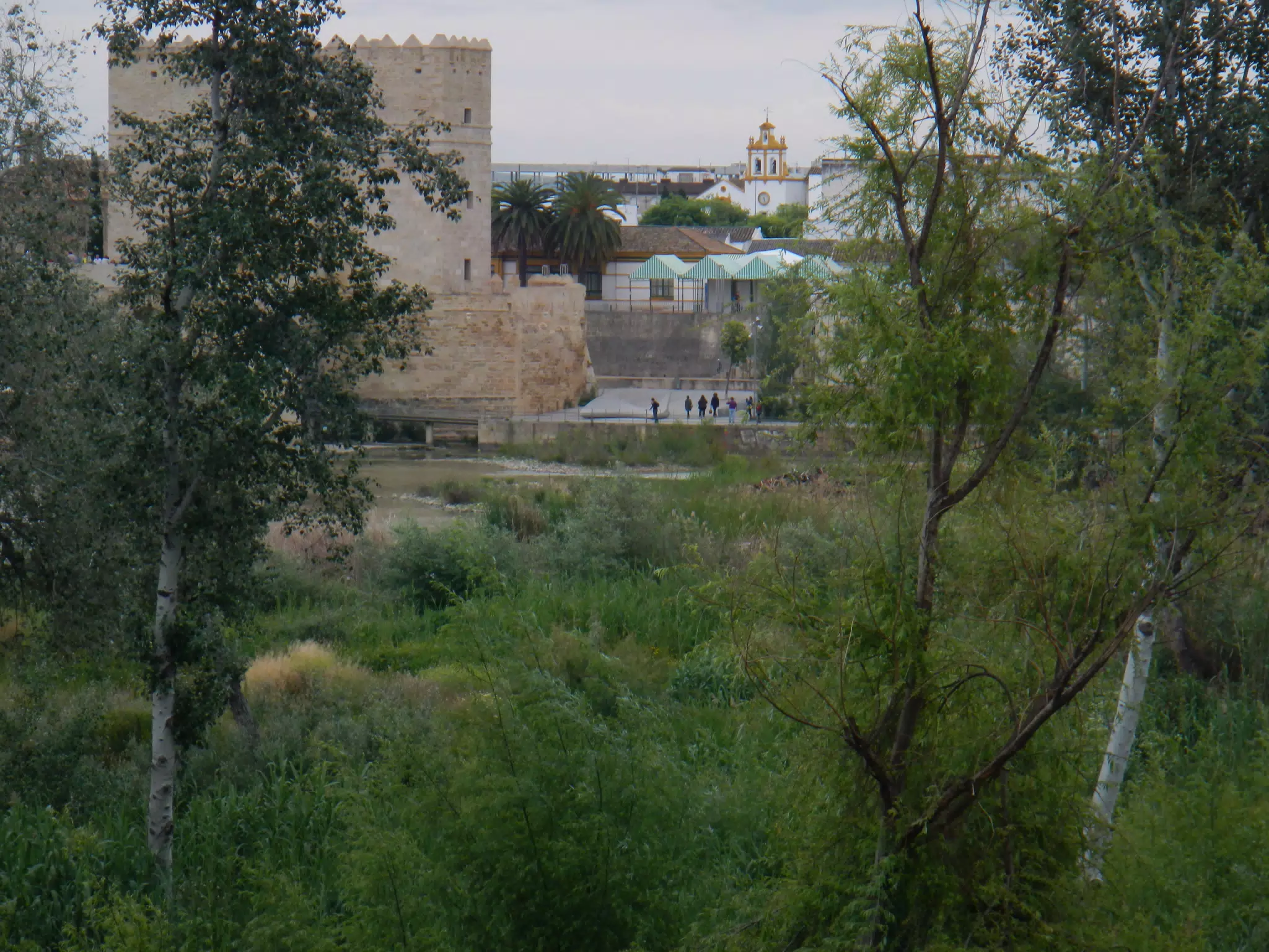 Cordoba