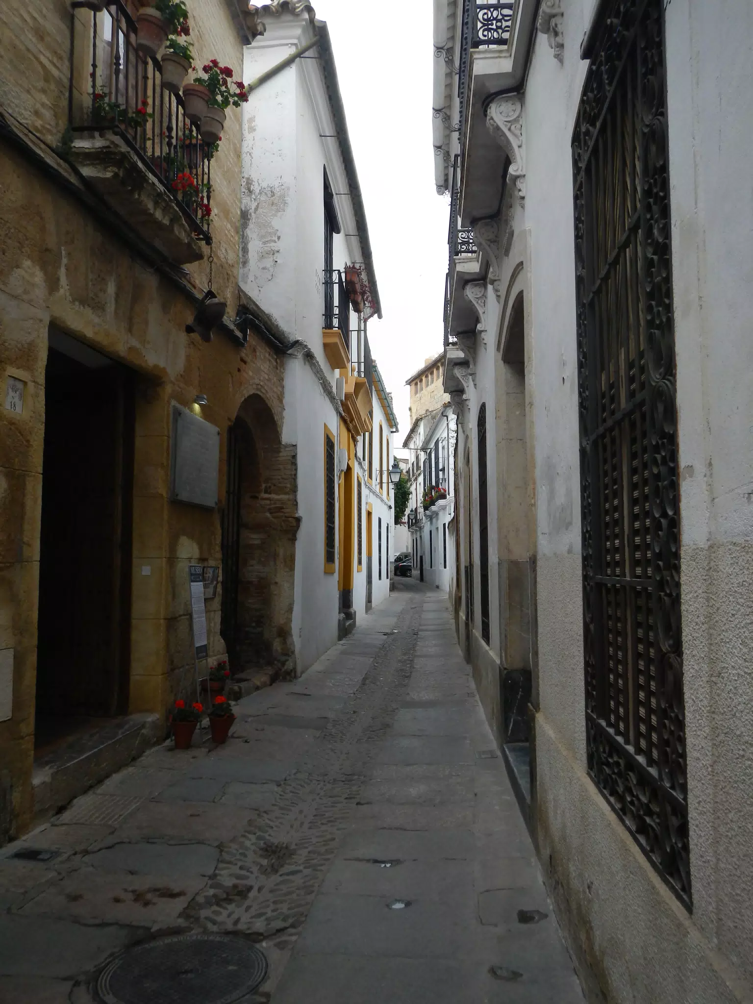 Museo