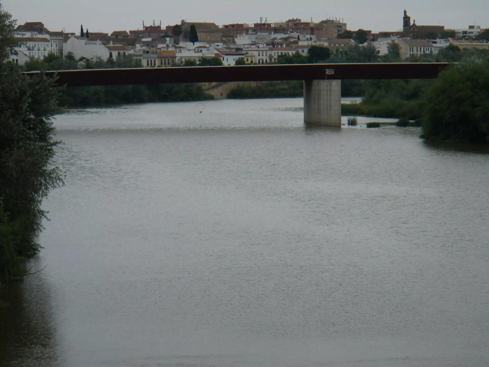 Cordoba