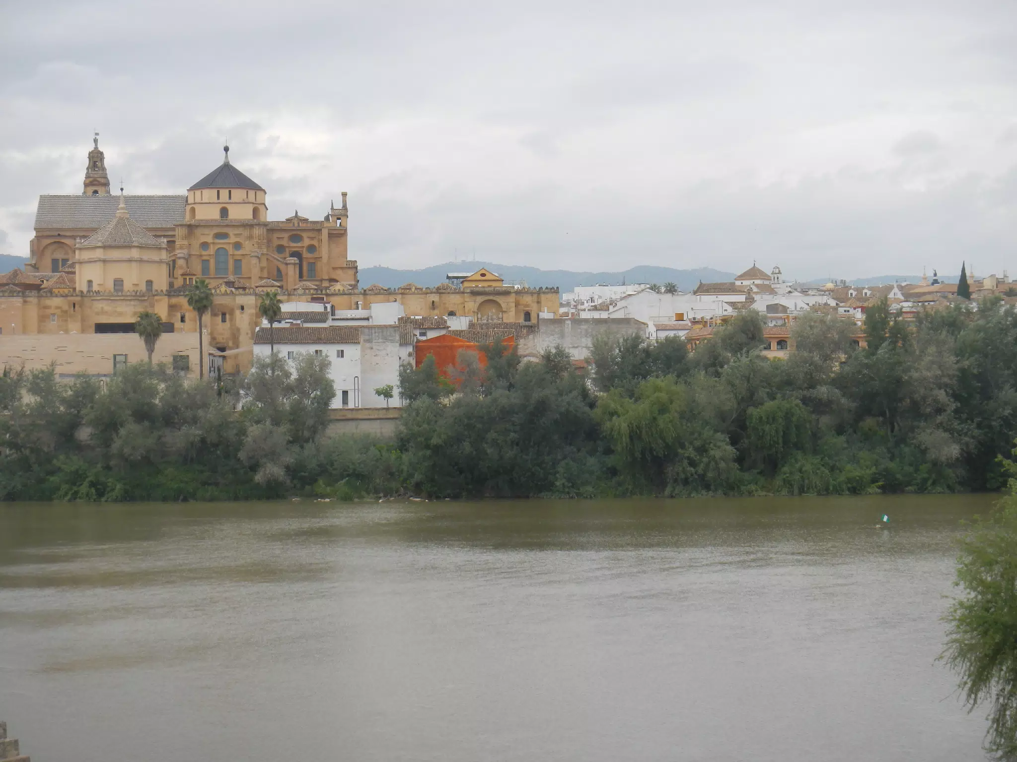 Córdoba from Across the River